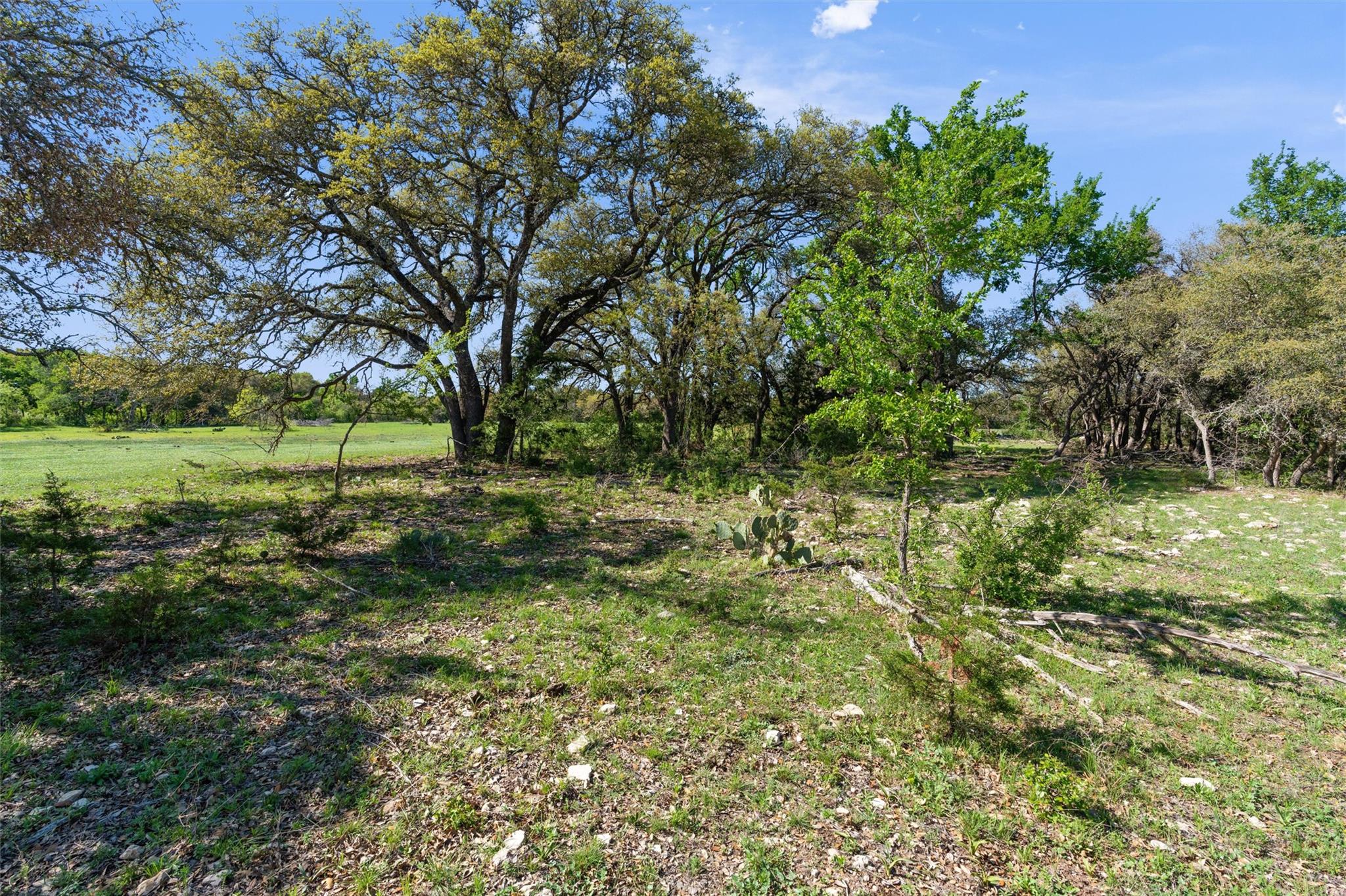 6300 County Road 200 Property Photo 5