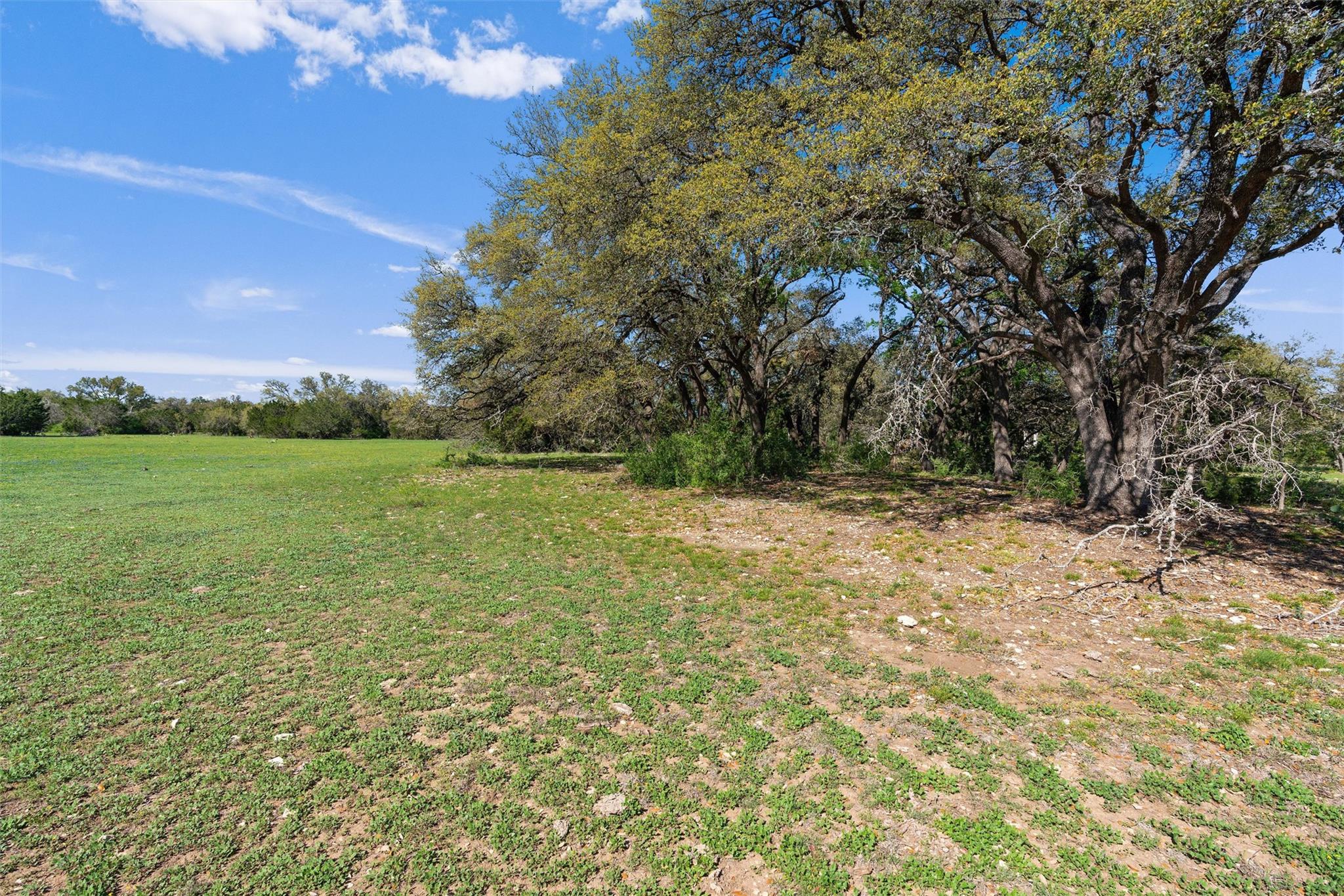 6300 County Road 200 Property Photo 6