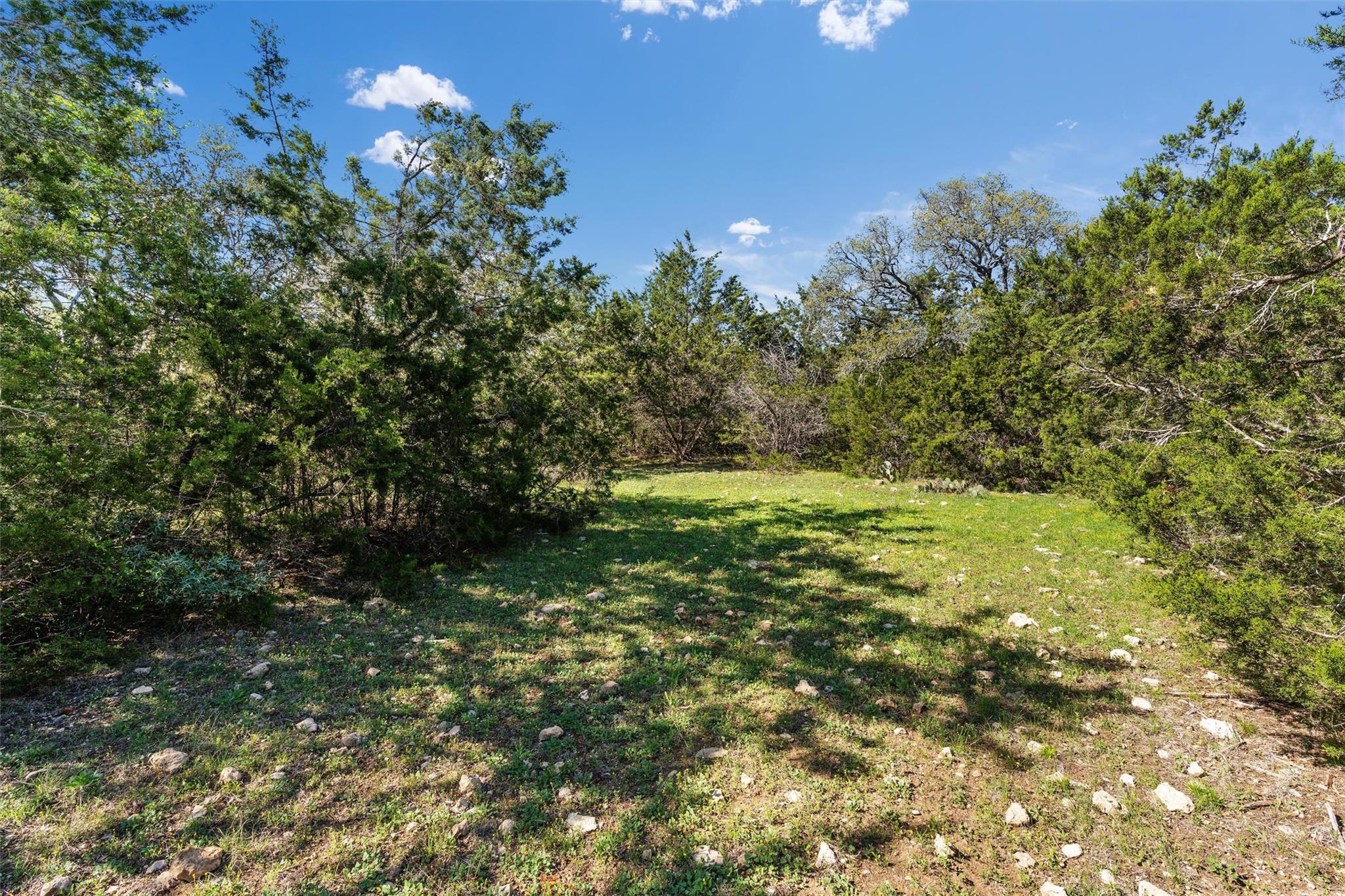 6300 County Road 200 Property Photo 12