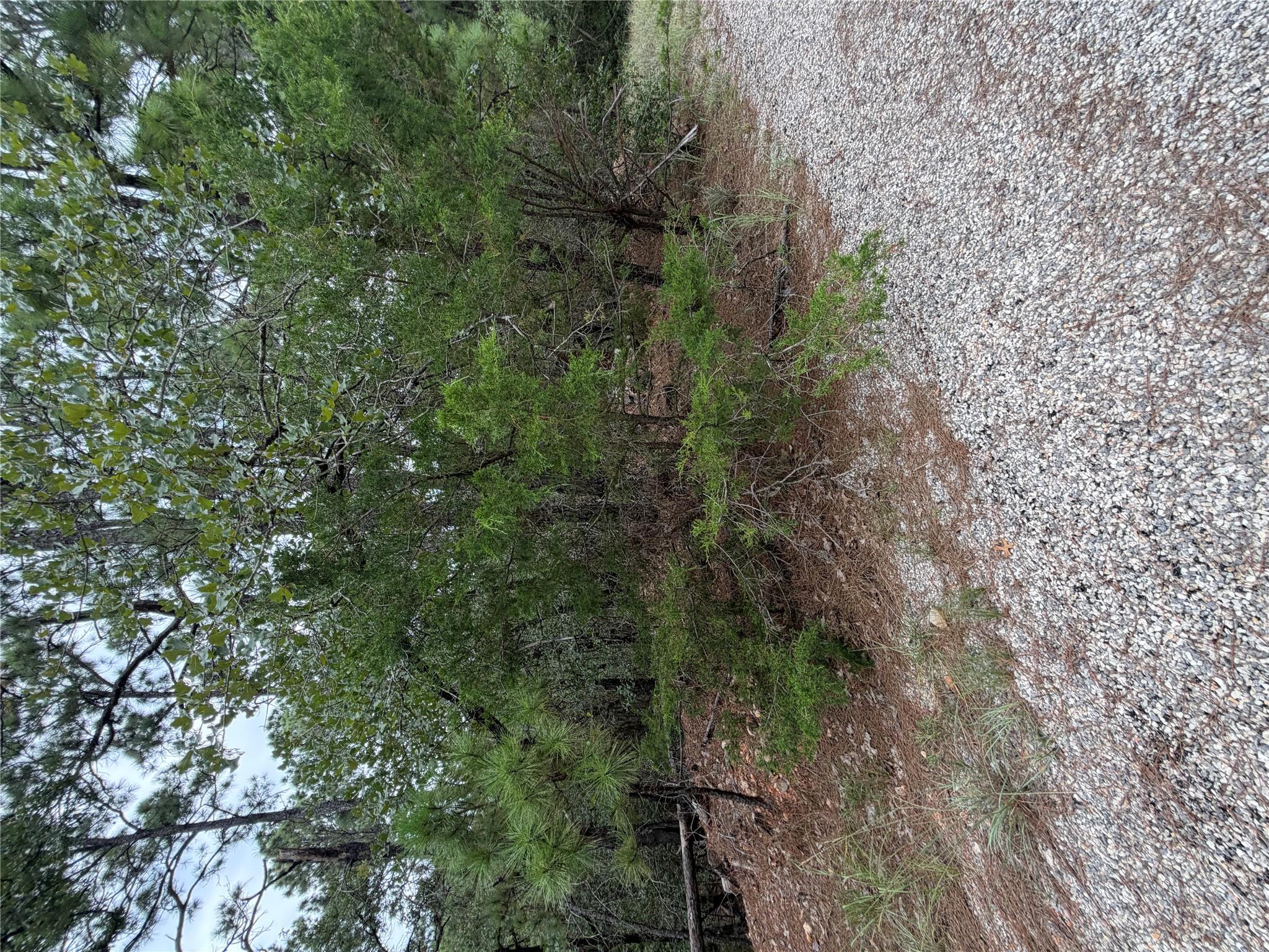 Lot 216 Hekili Dr Property Photo 2