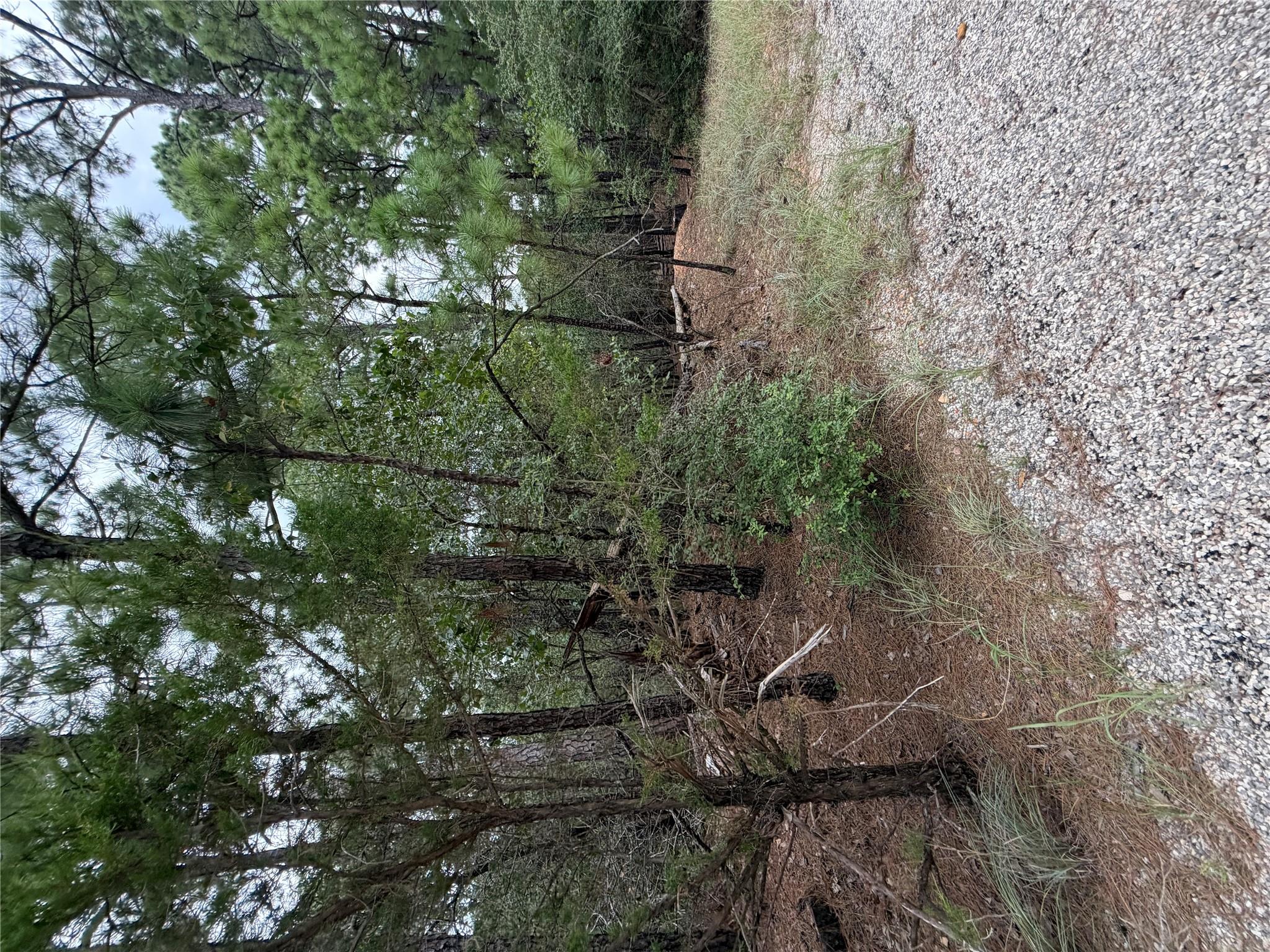 Lot 216 Hekili Dr Property Photo 4