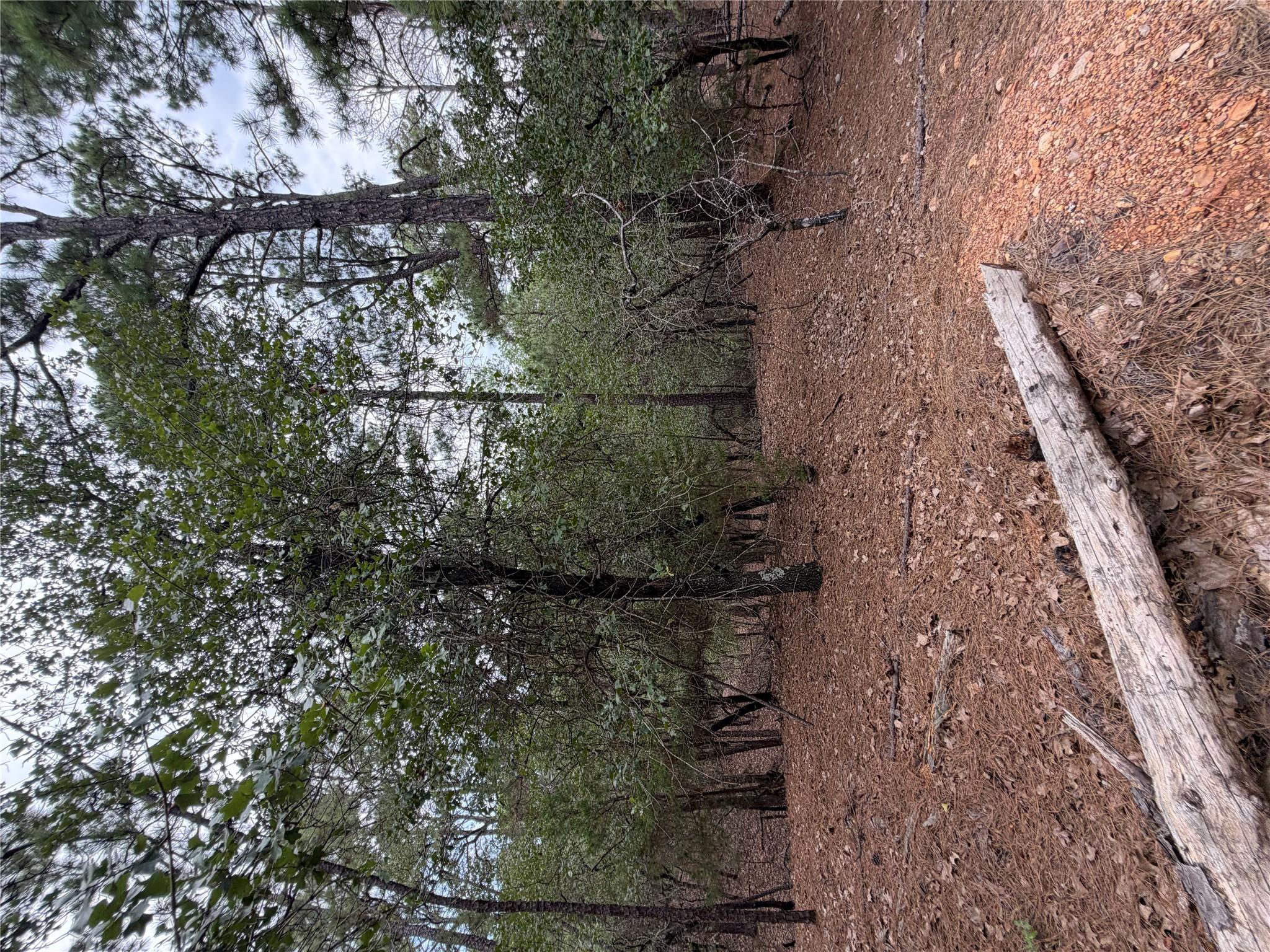 Lot 216 Hekili Dr Property Photo 5