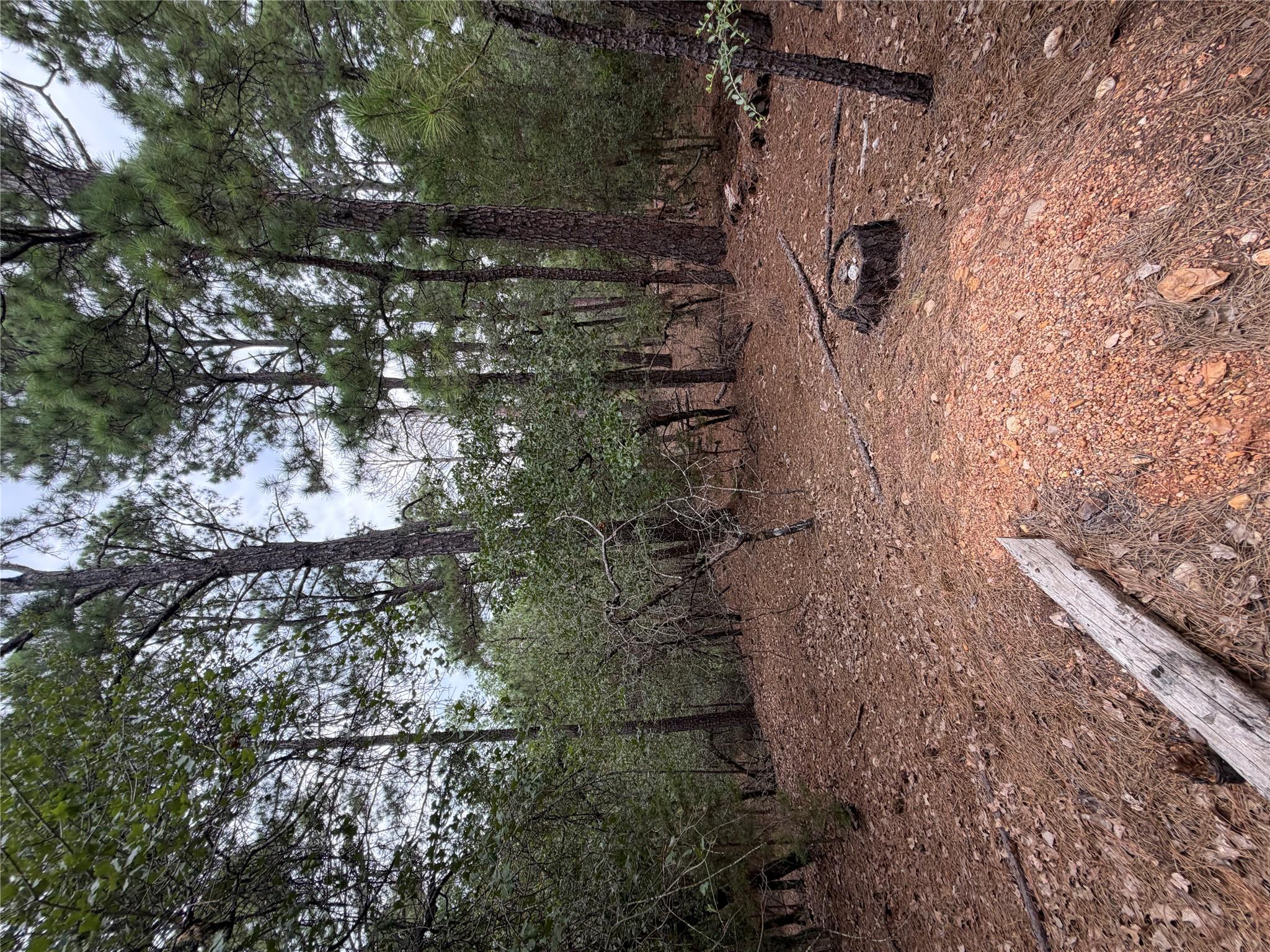 Lot 216 Hekili Dr Property Photo 6