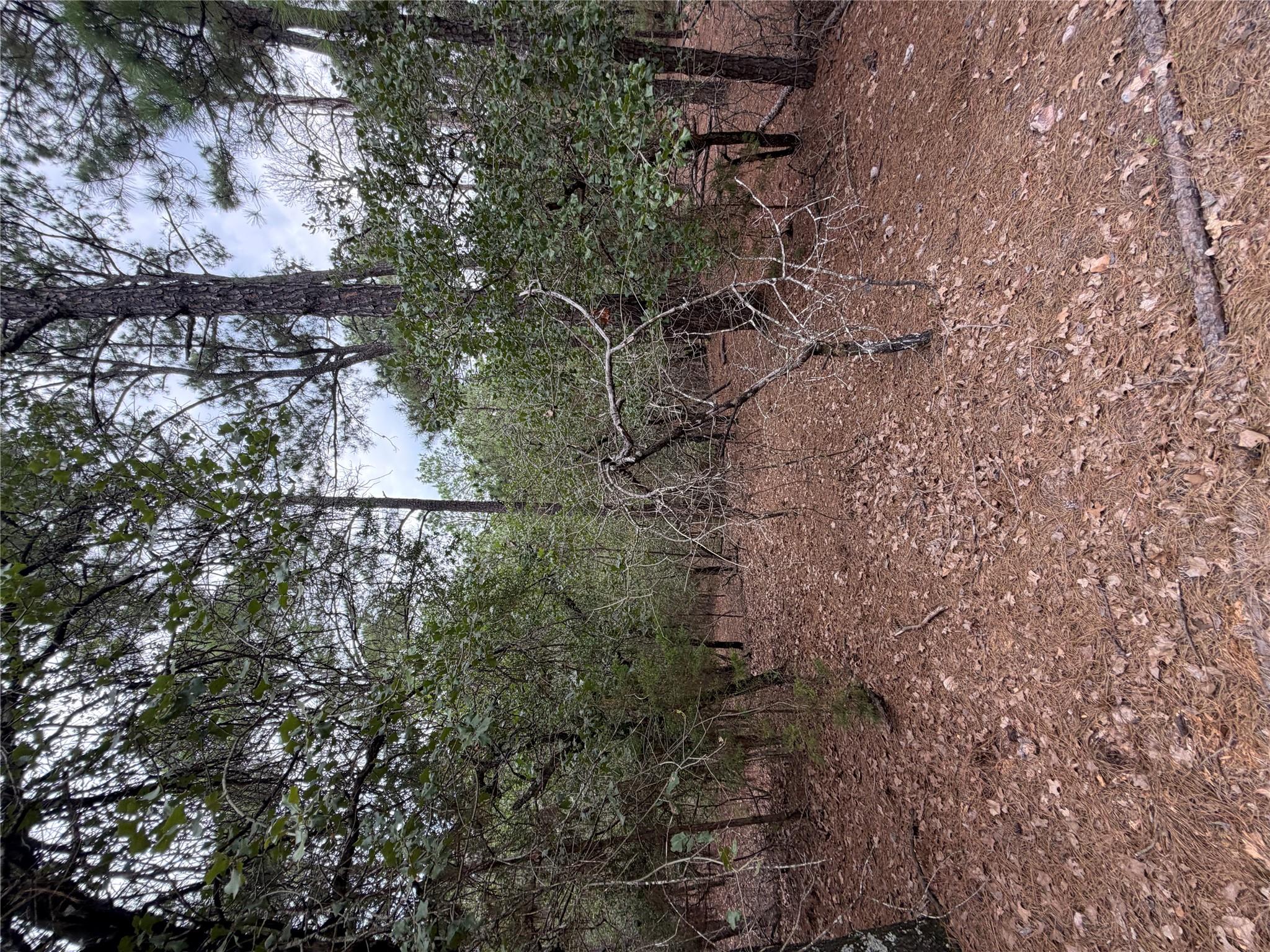 Lot 216 Hekili Dr Property Photo 7
