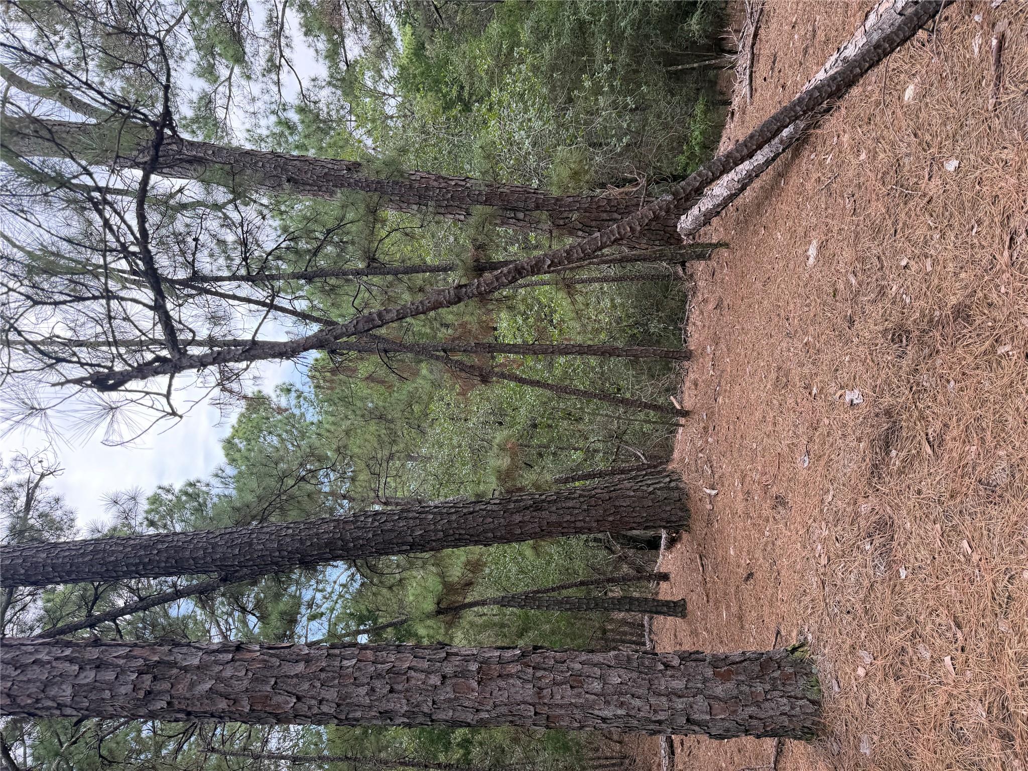 Lot 216 Hekili Dr Property Photo 8