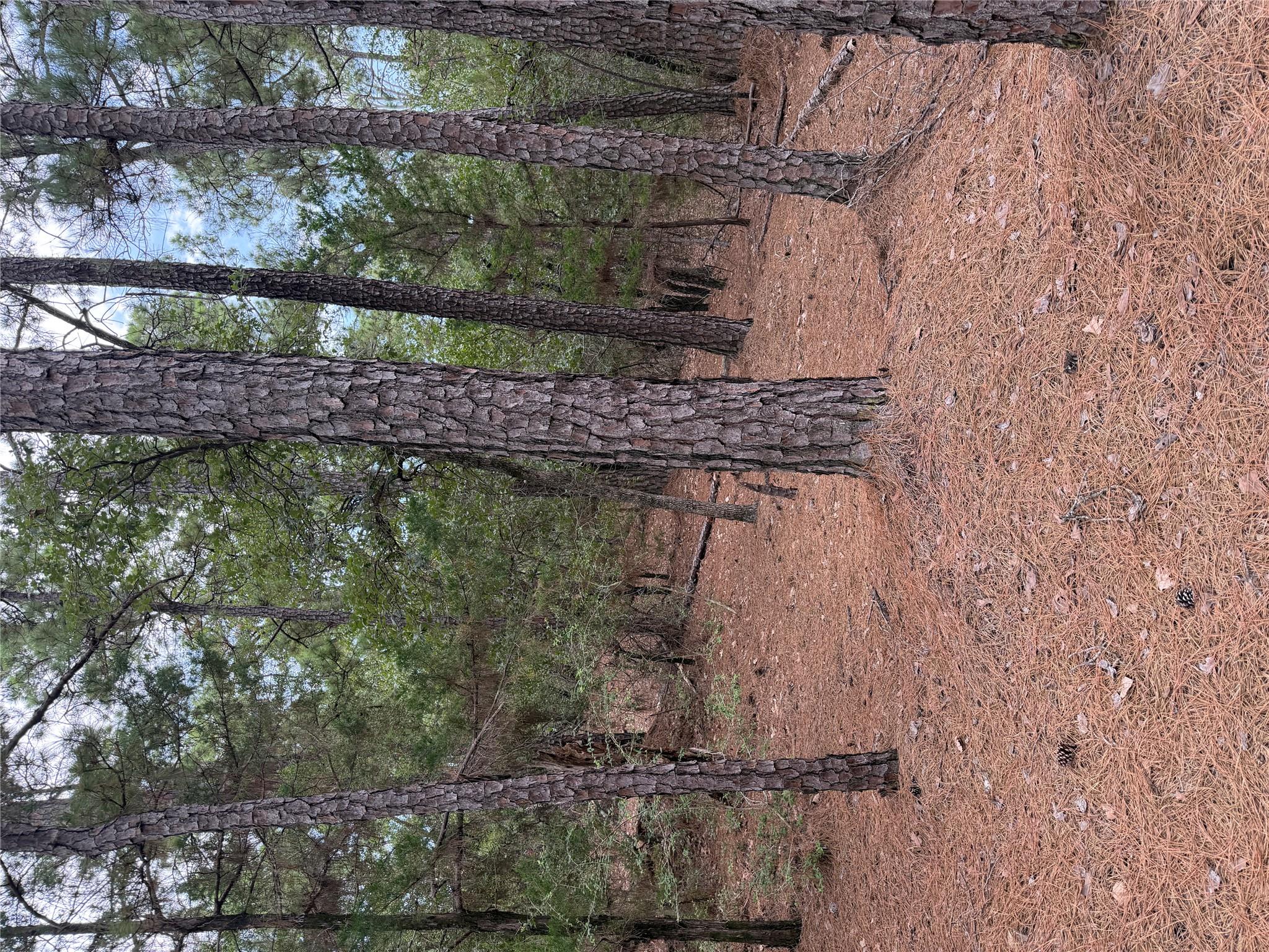 Lot 216 Hekili Dr Property Photo 9