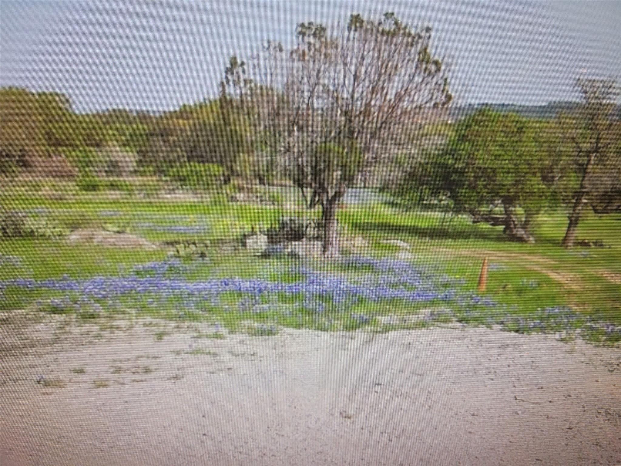 1601 Twin Sisters Property Photo 2