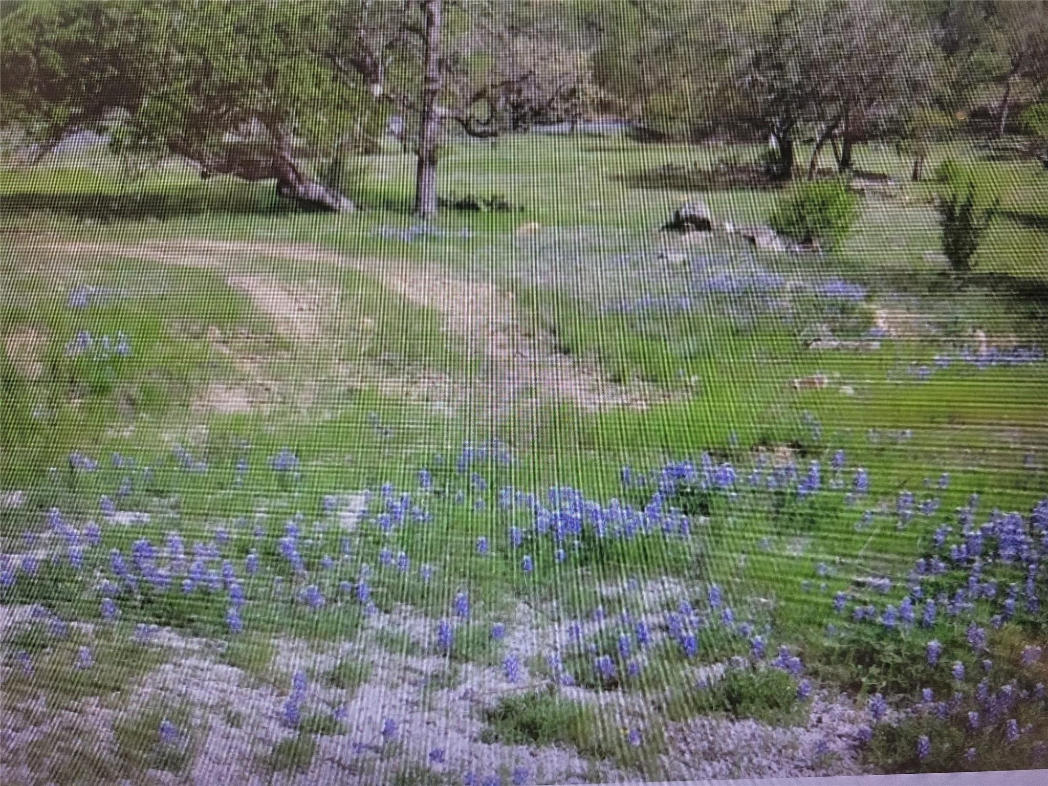 1601 Twin Sisters Property Photo 3