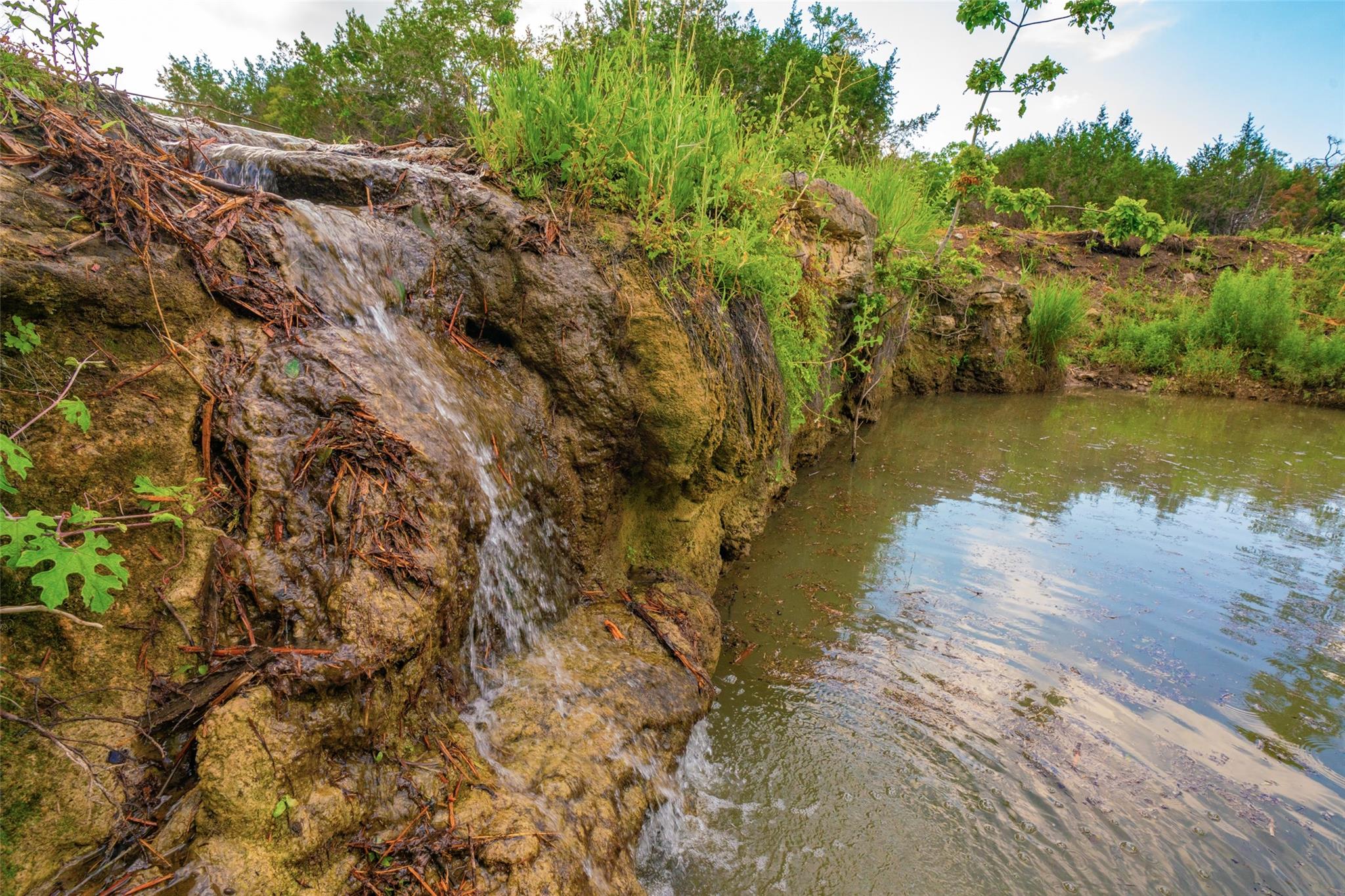 000 25 Acres Grotto Springs Ranch Property Photo