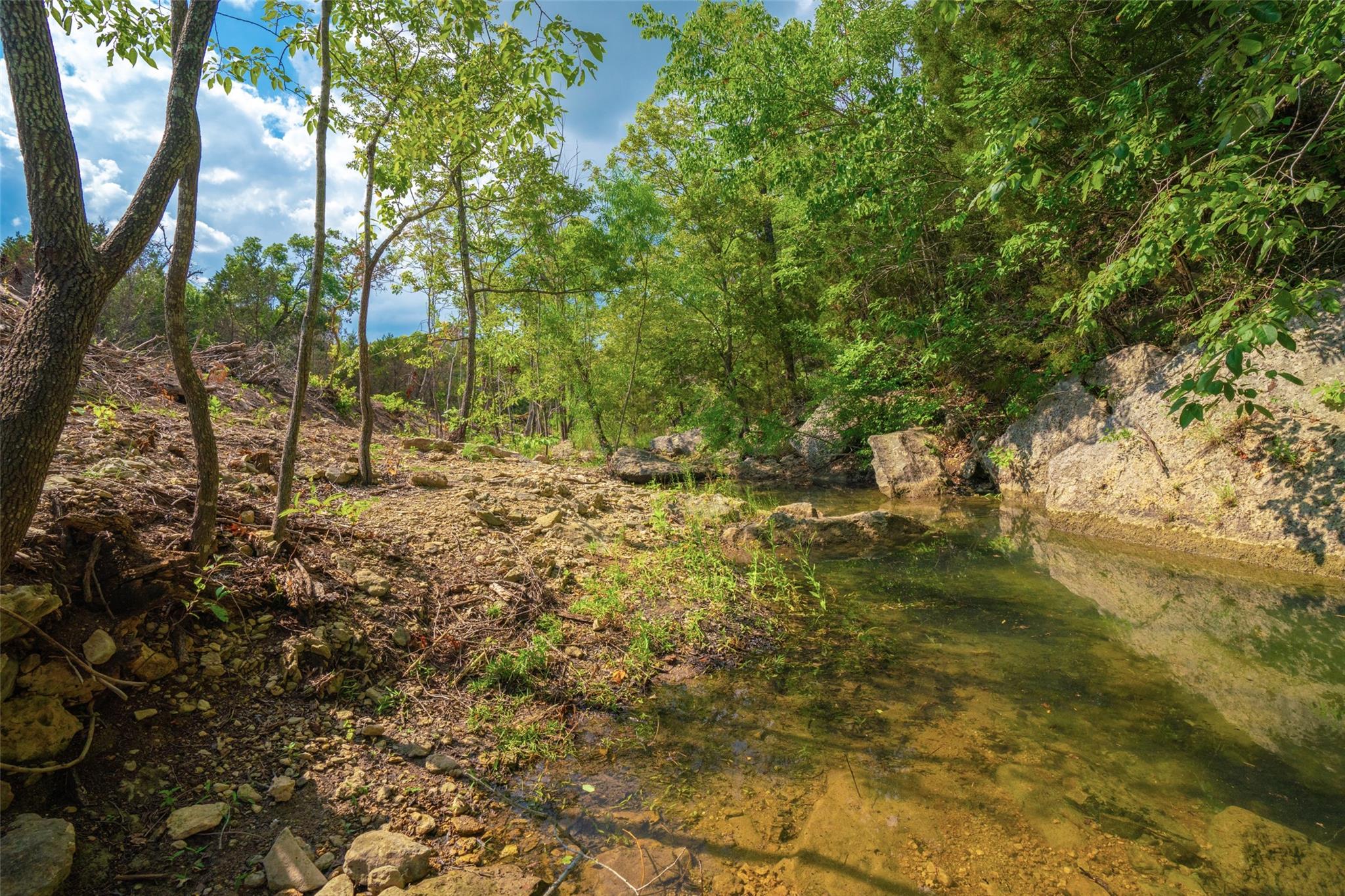 000 25 Acres Grotto Springs Ranch Property Photo 4