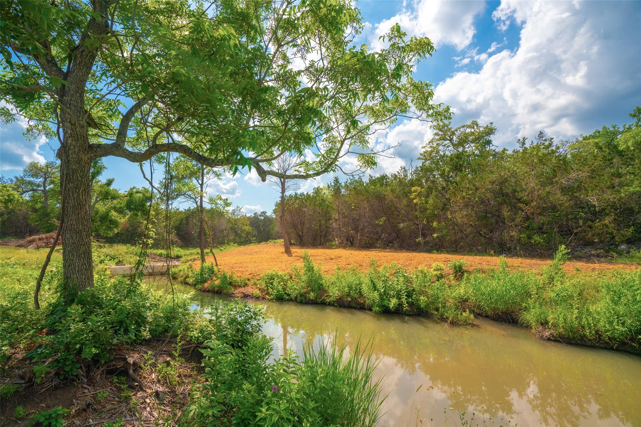000 25 Acres Grotto Springs Ranch Property Photo 5