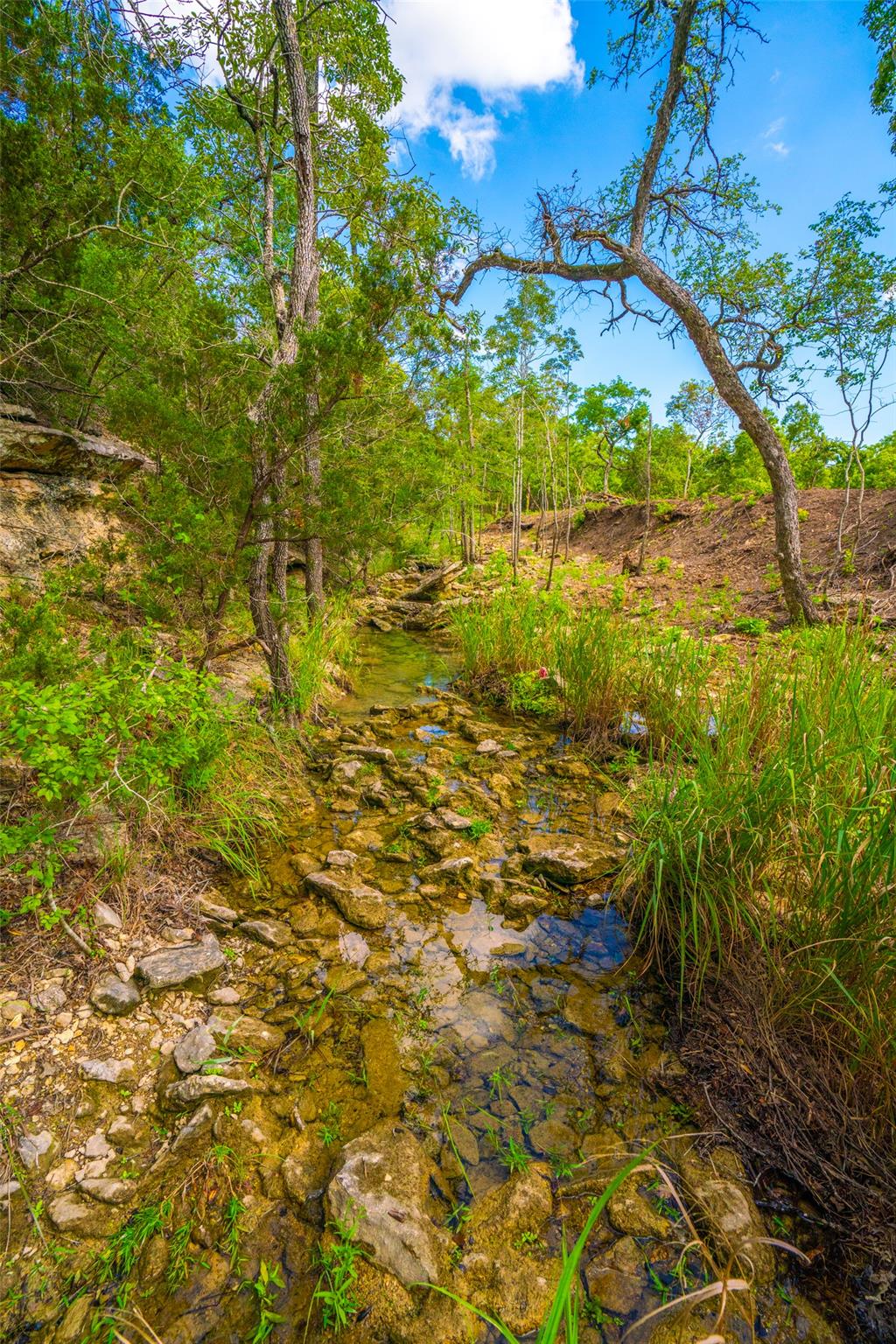 000 25 Acres Grotto Springs Ranch Property Photo 6