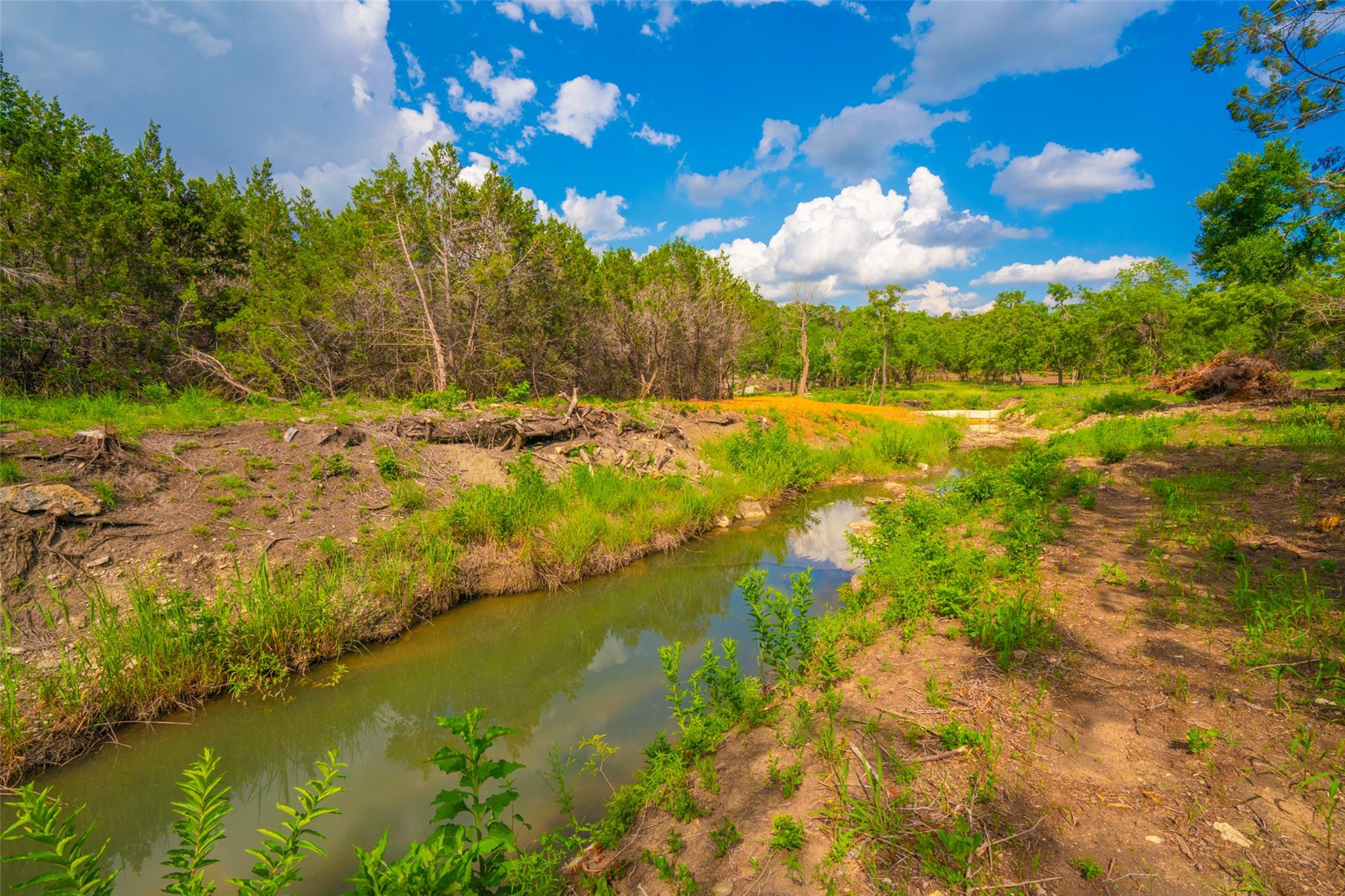 000 25 Acres Grotto Springs Ranch Property Photo 8