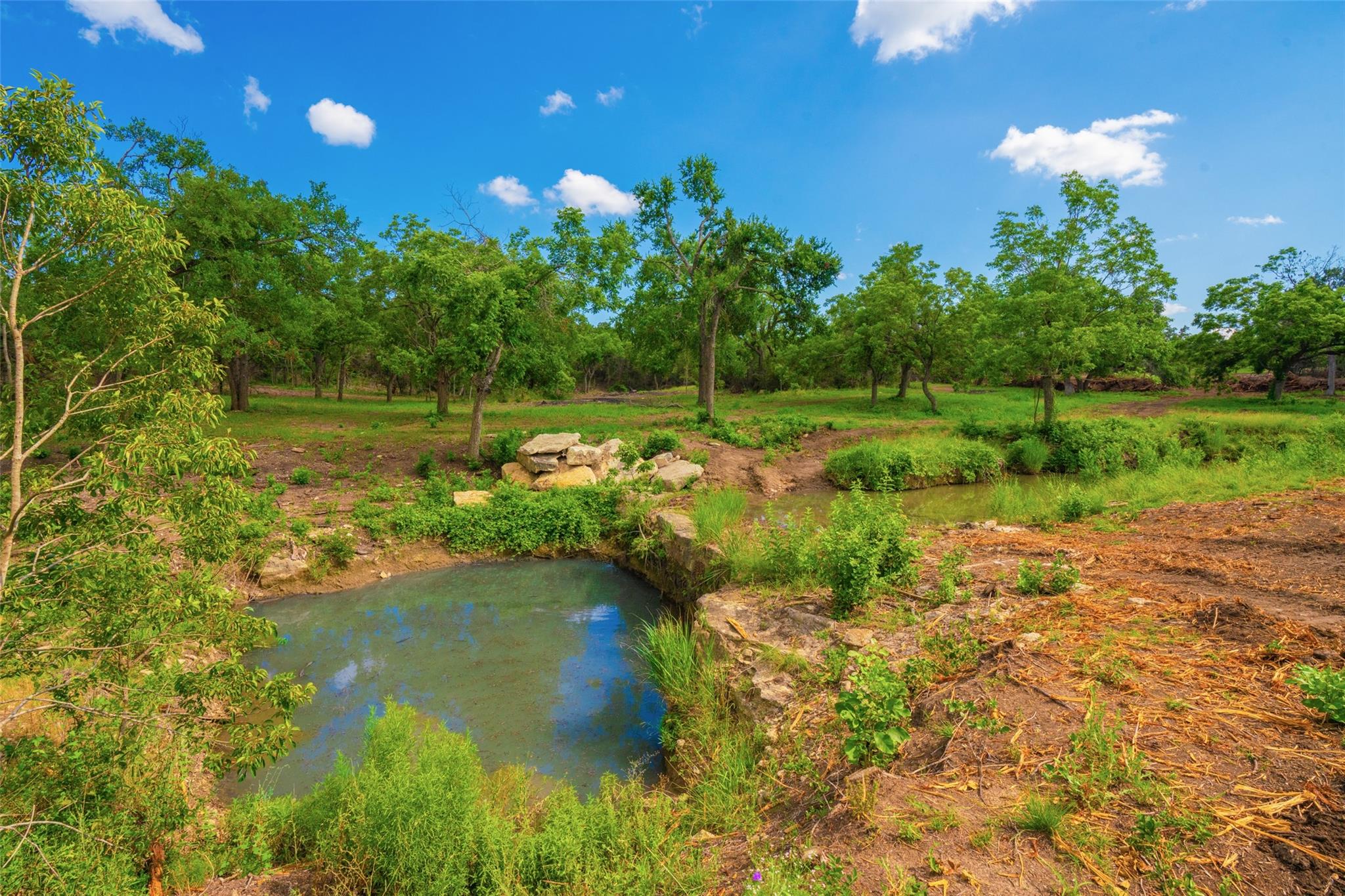 000 25 Acres Grotto Springs Ranch Property Photo 9