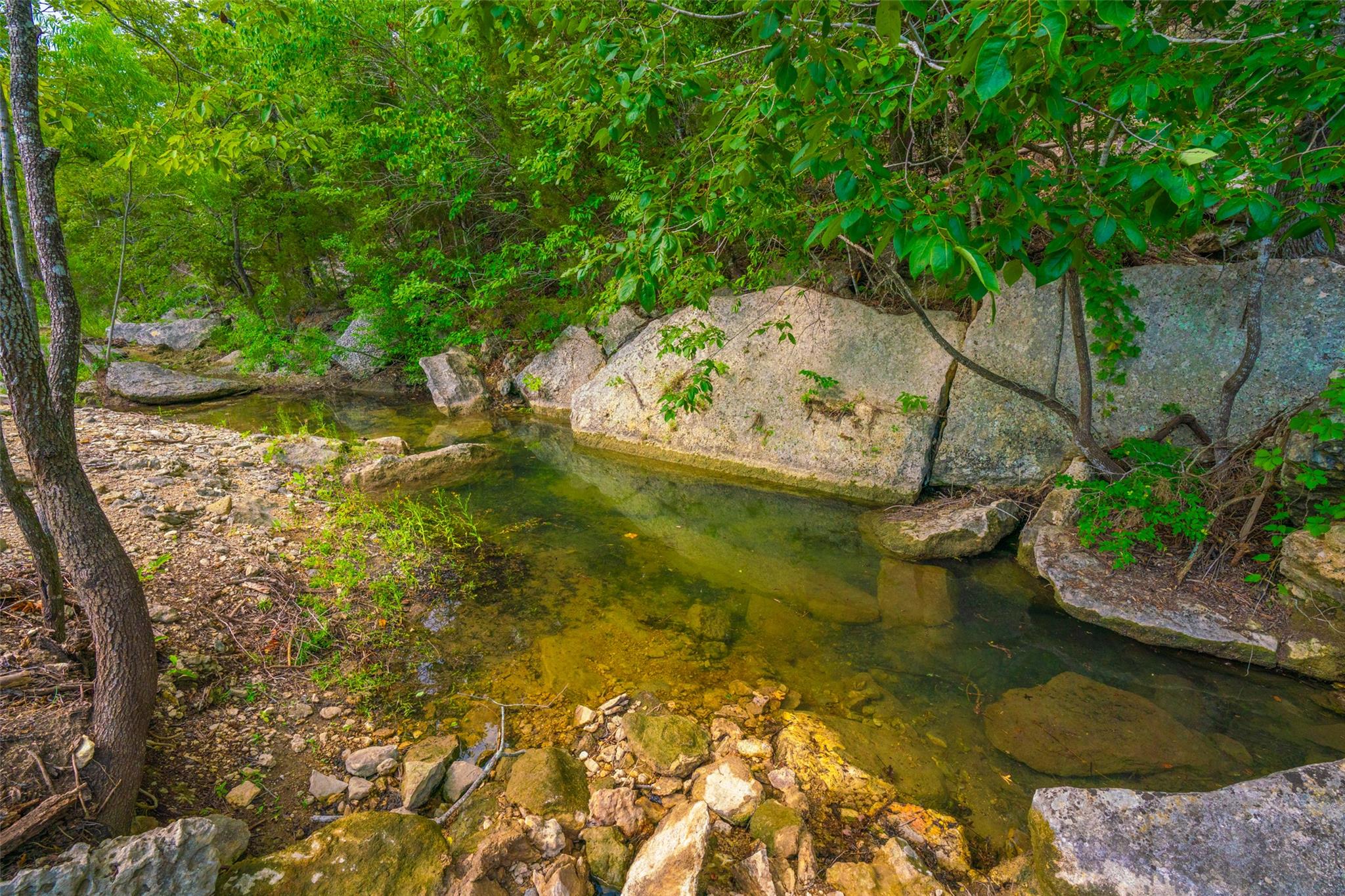 000 25 Acres Grotto Springs Ranch Property Photo 14