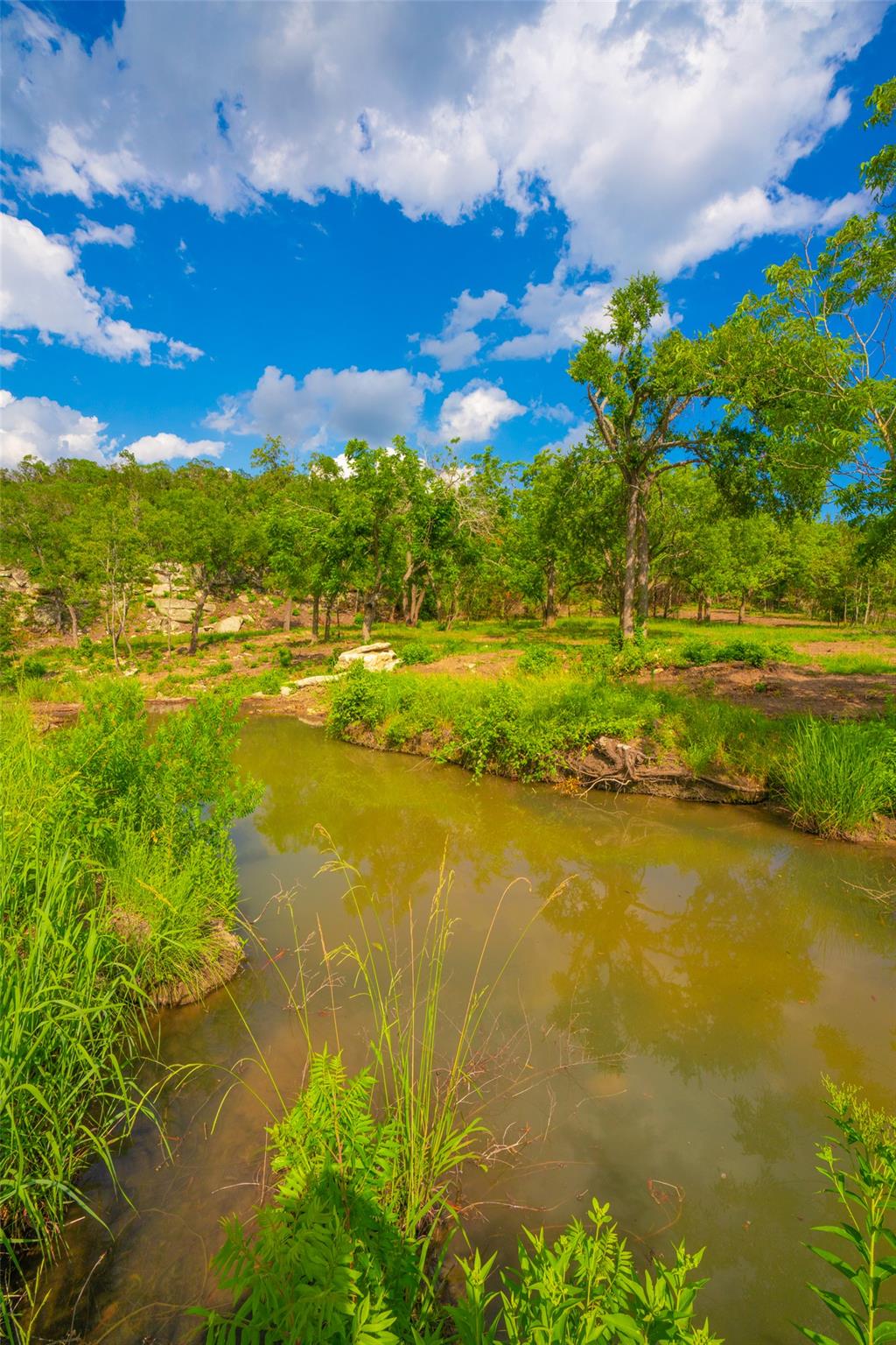 000 25 Acres Grotto Springs Ranch Property Photo 15