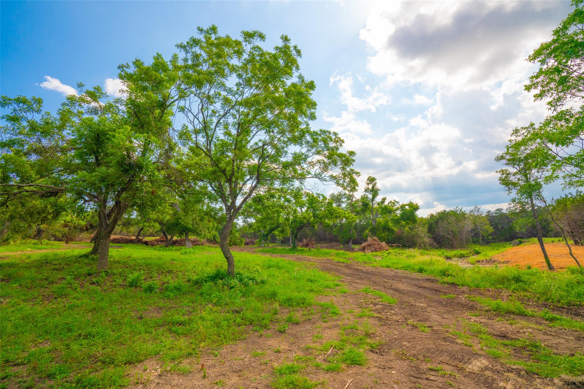 000 25 Acres Grotto Springs Ranch Property Photo 17