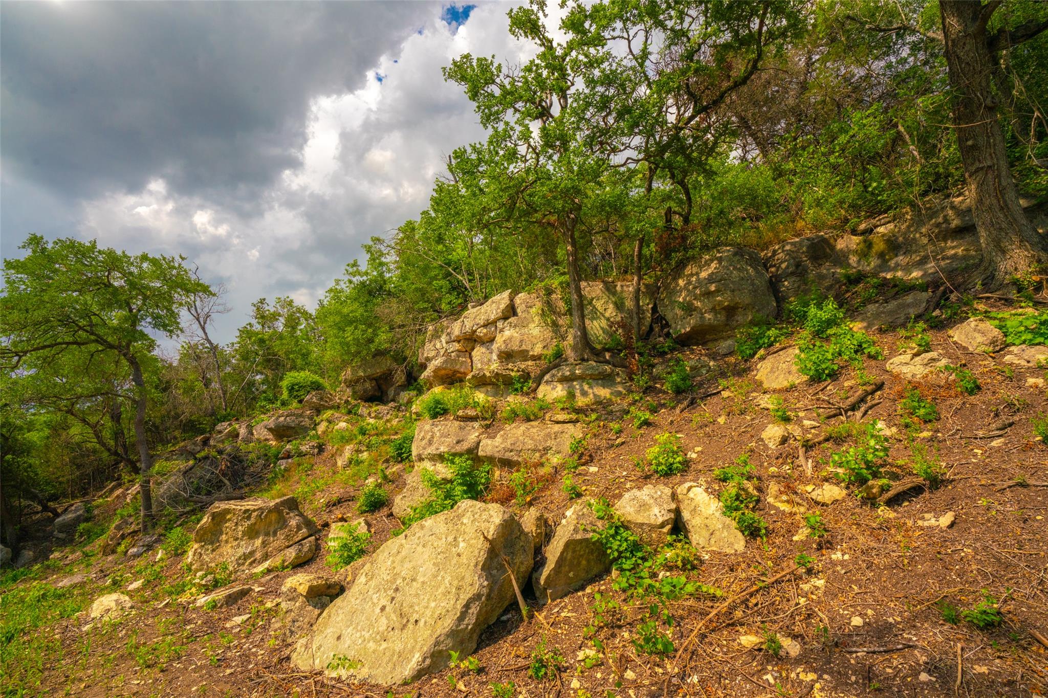 000 25 Acres Grotto Springs Ranch Property Photo 21