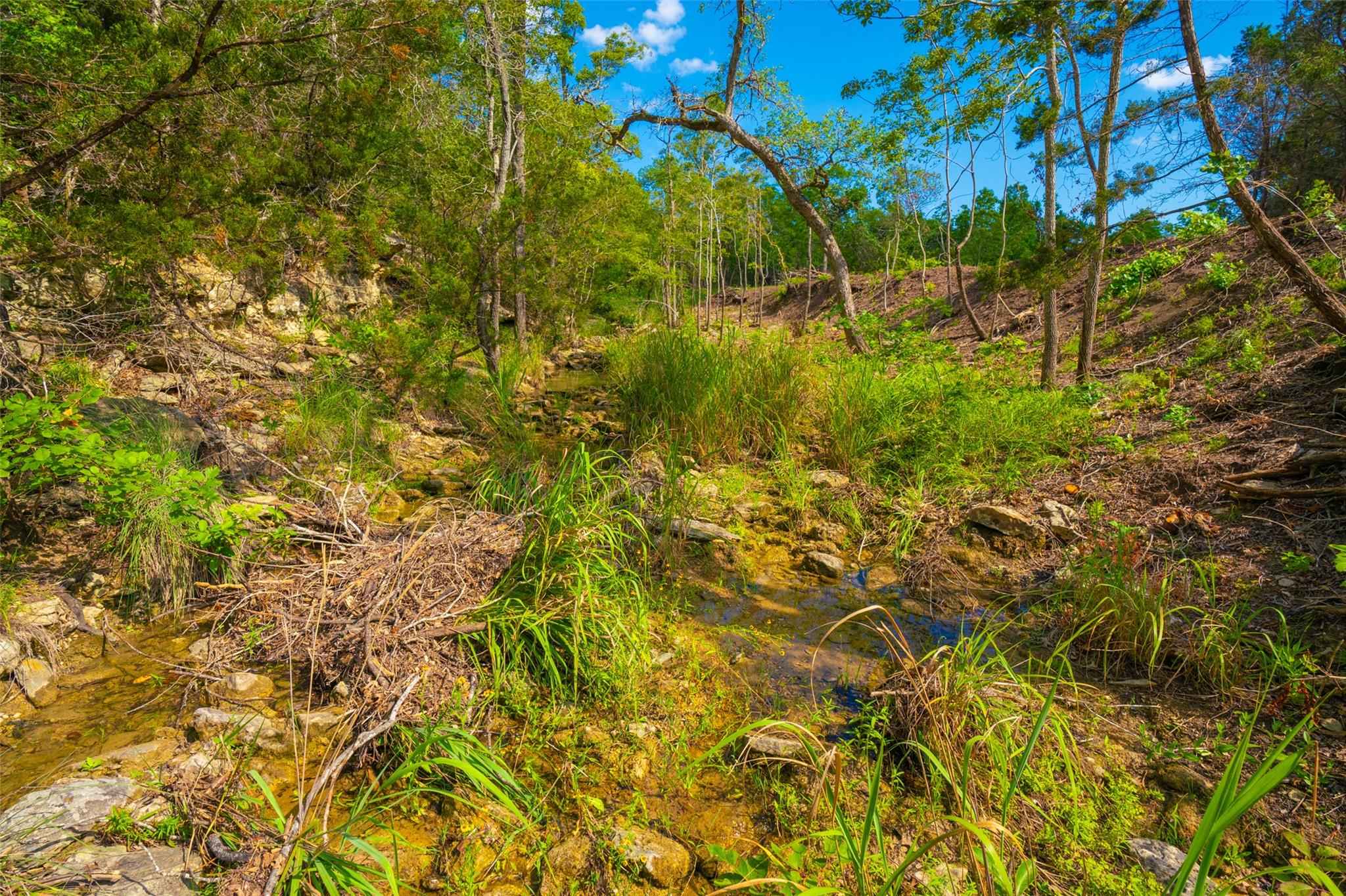 000 25 Acres Grotto Springs Ranch Property Photo 22