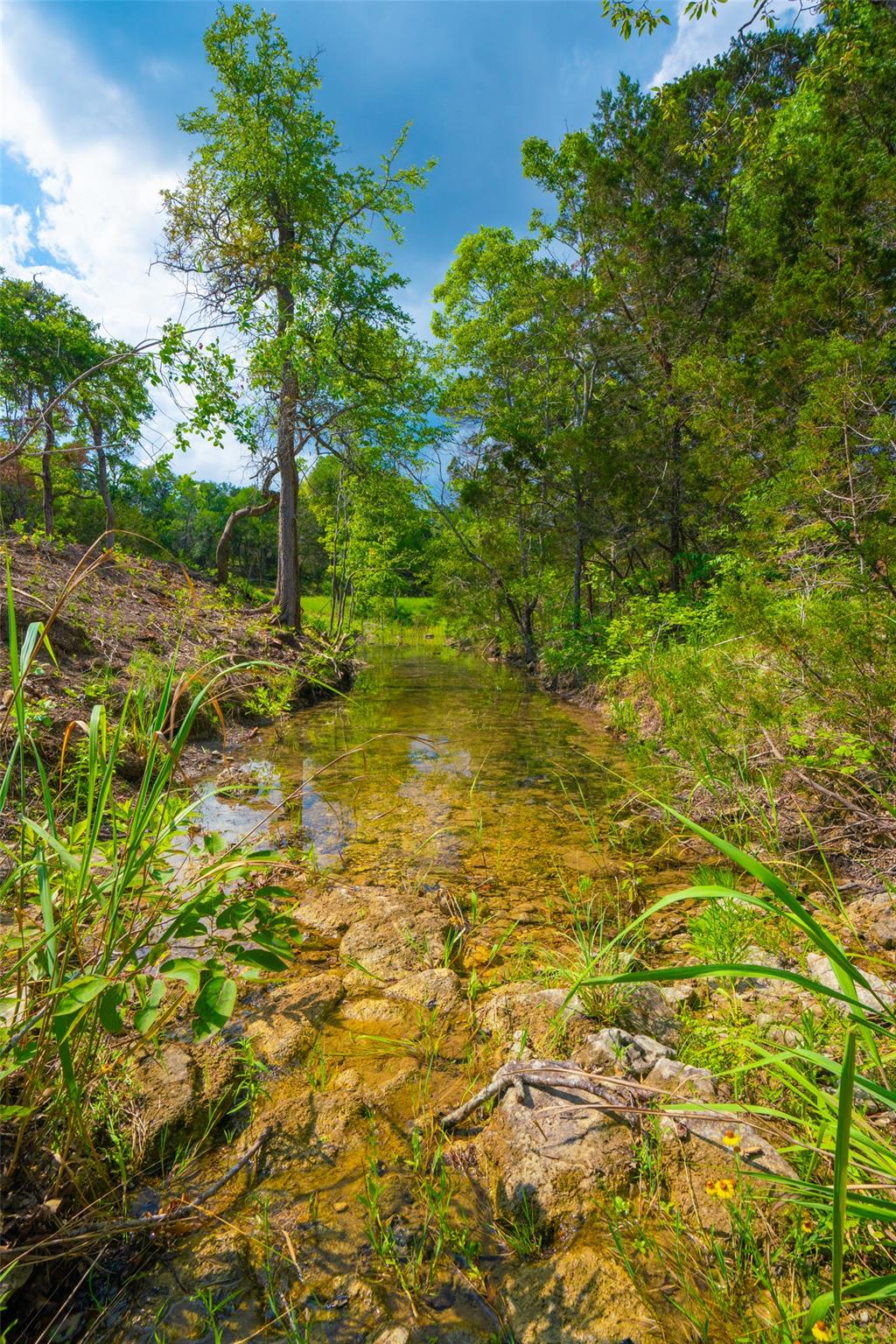 000 25 Acres Grotto Springs Ranch Property Photo 24