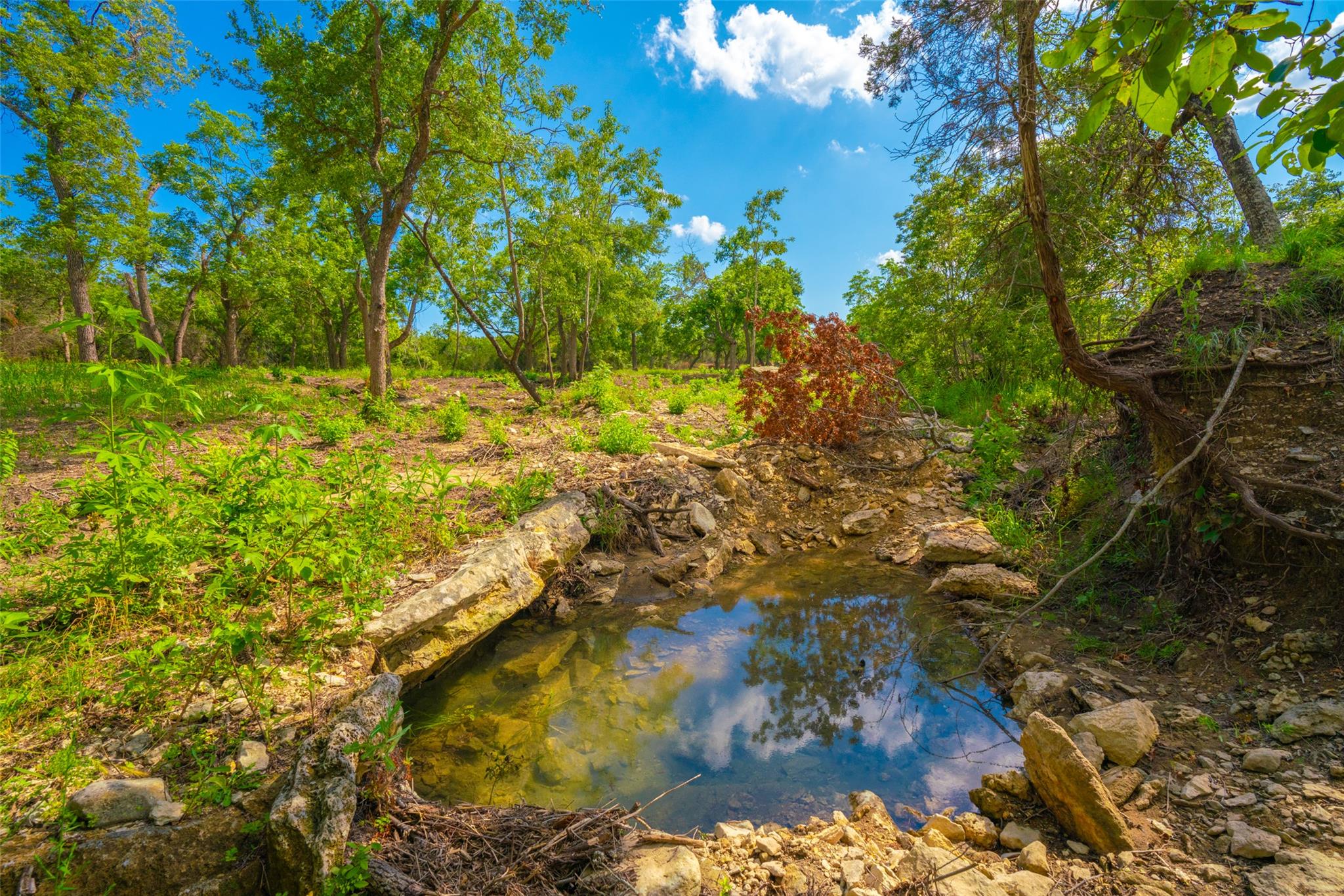 000 25 Acres Grotto Springs Ranch Property Photo 25