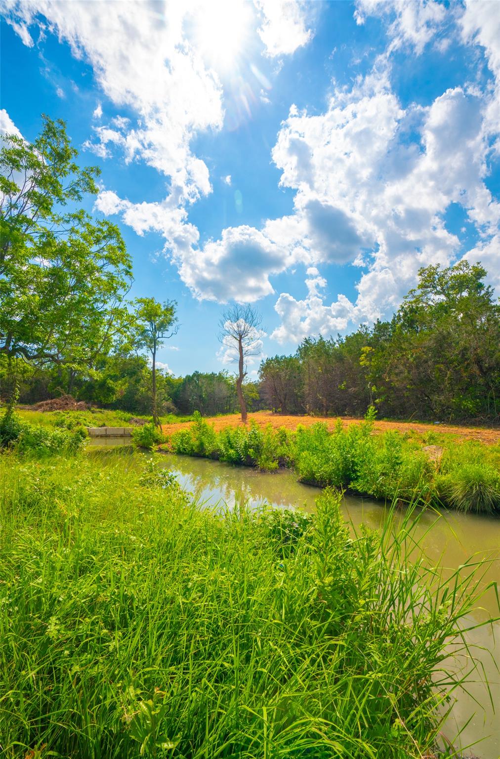 000 25 Acres Grotto Springs Ranch Property Photo 27