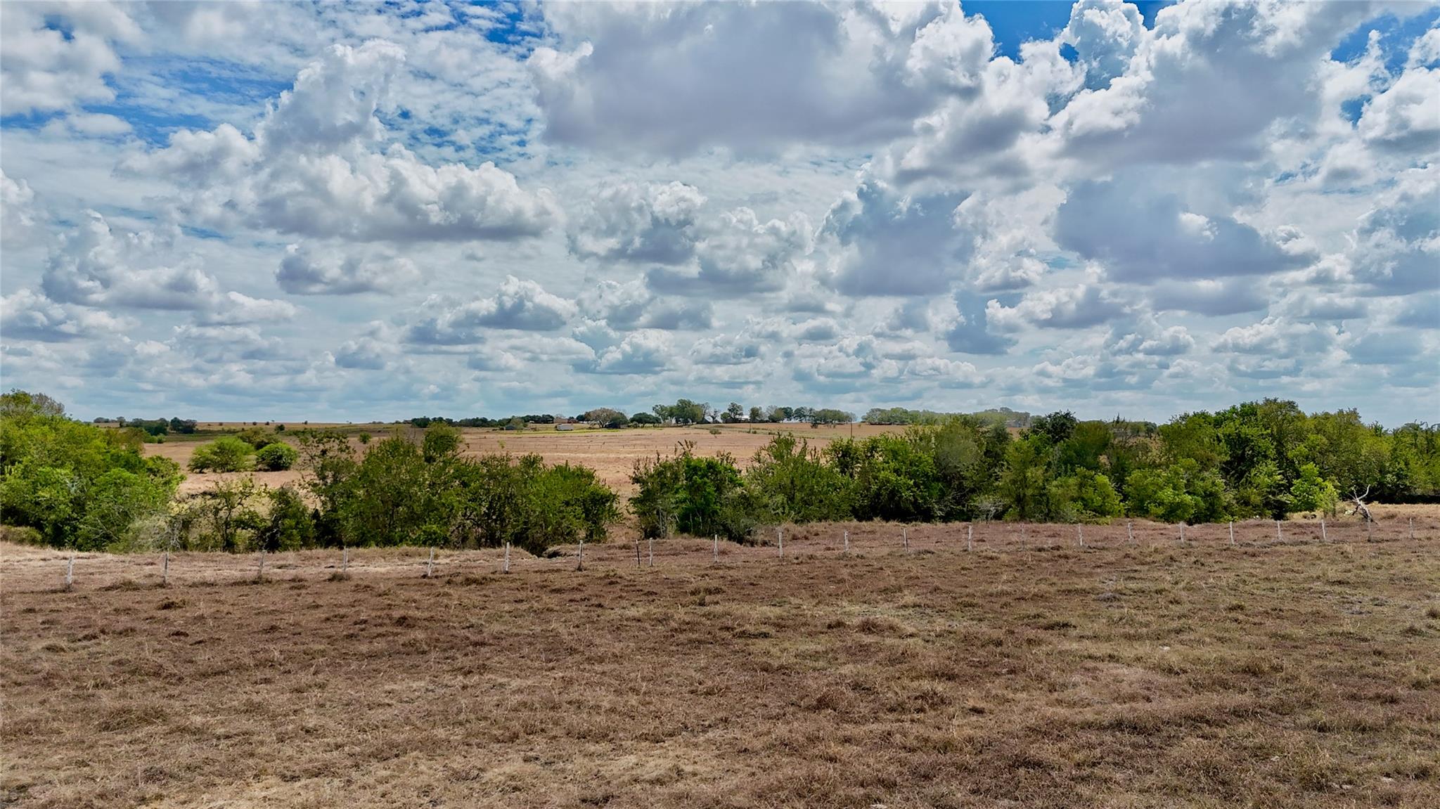 Tract 2 County Road 366 None Property Photo 6