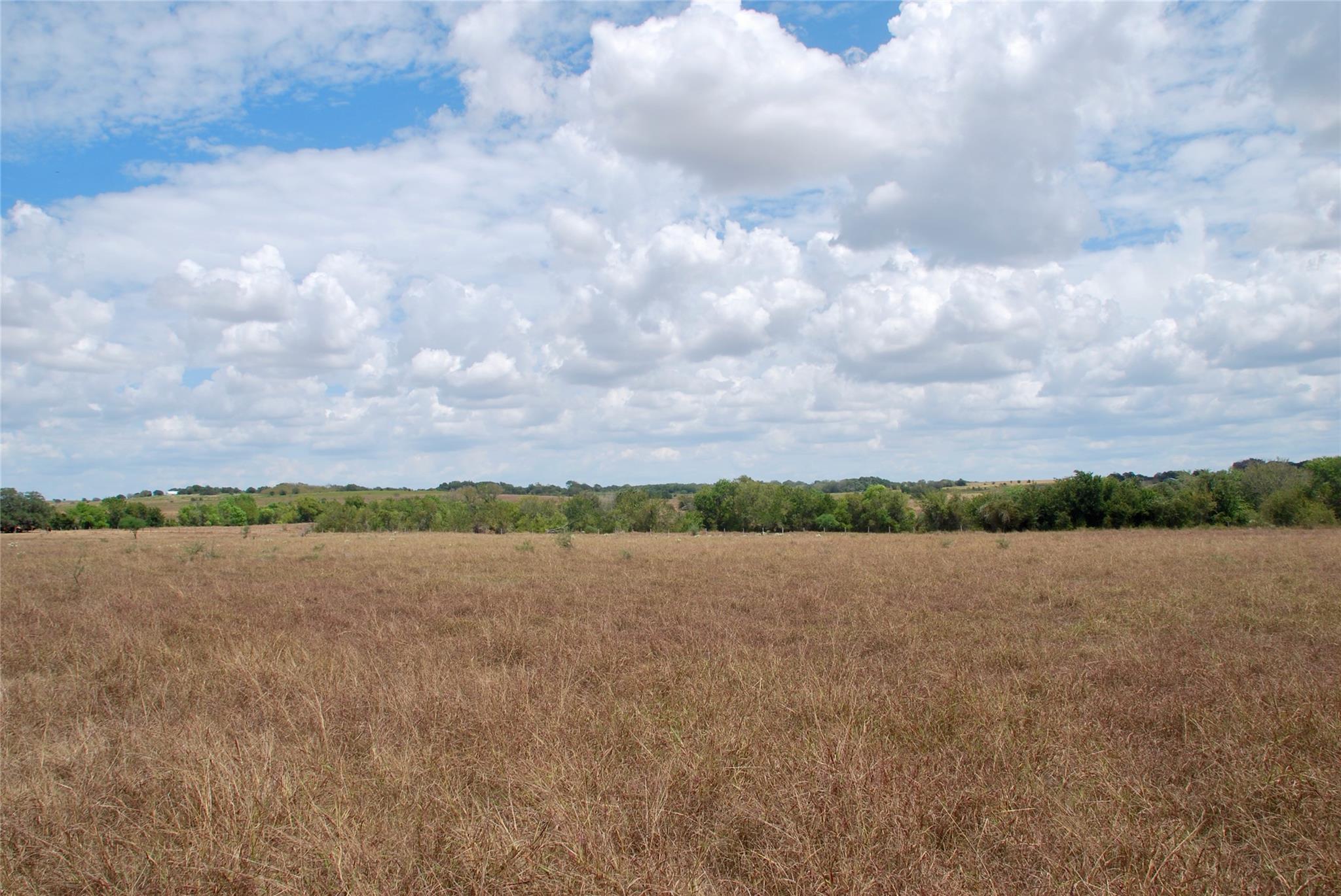 Tract 2 County Road 366 None Property Photo 14