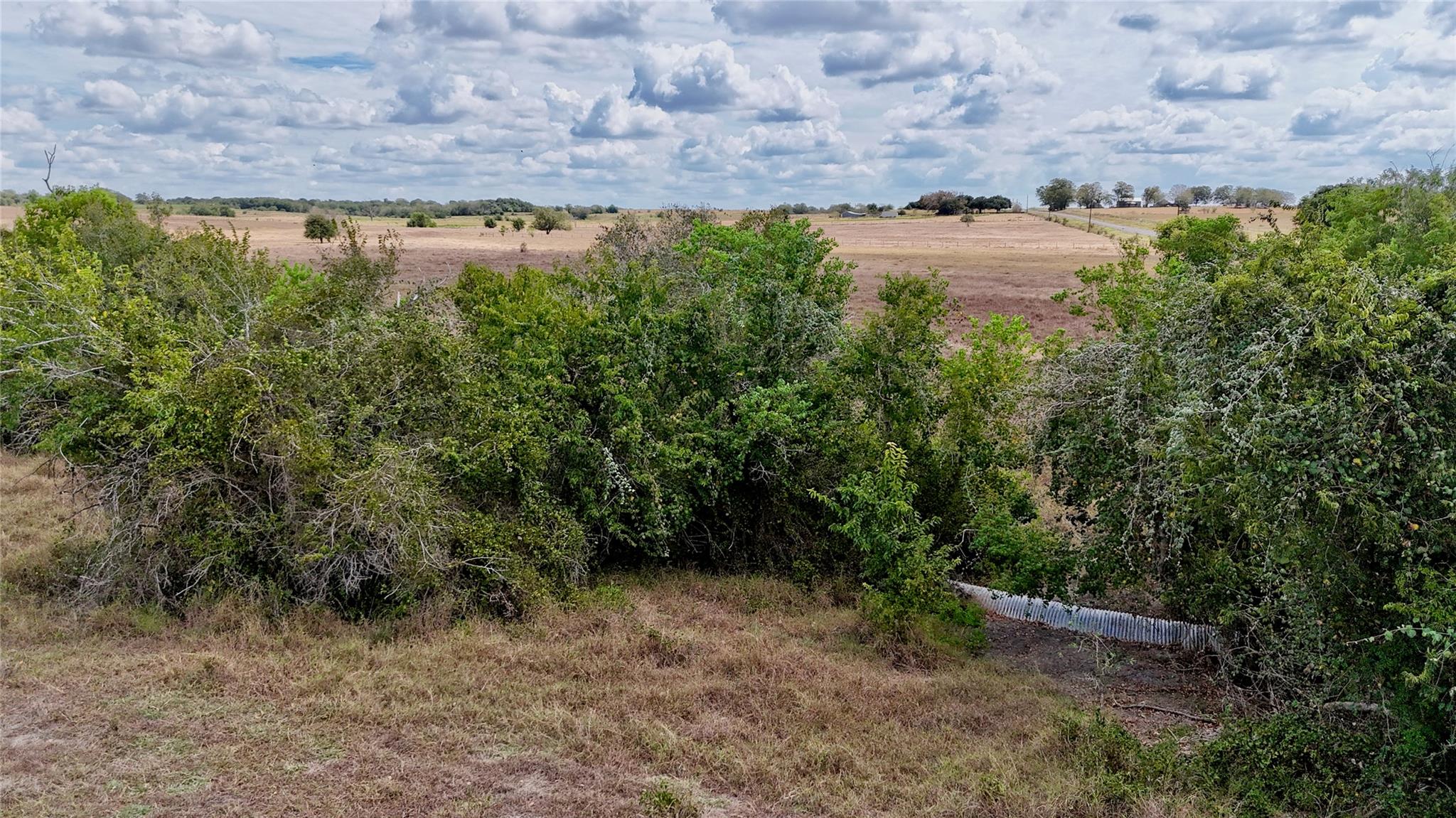 Tract 2 County Road 366 None Property Photo 18