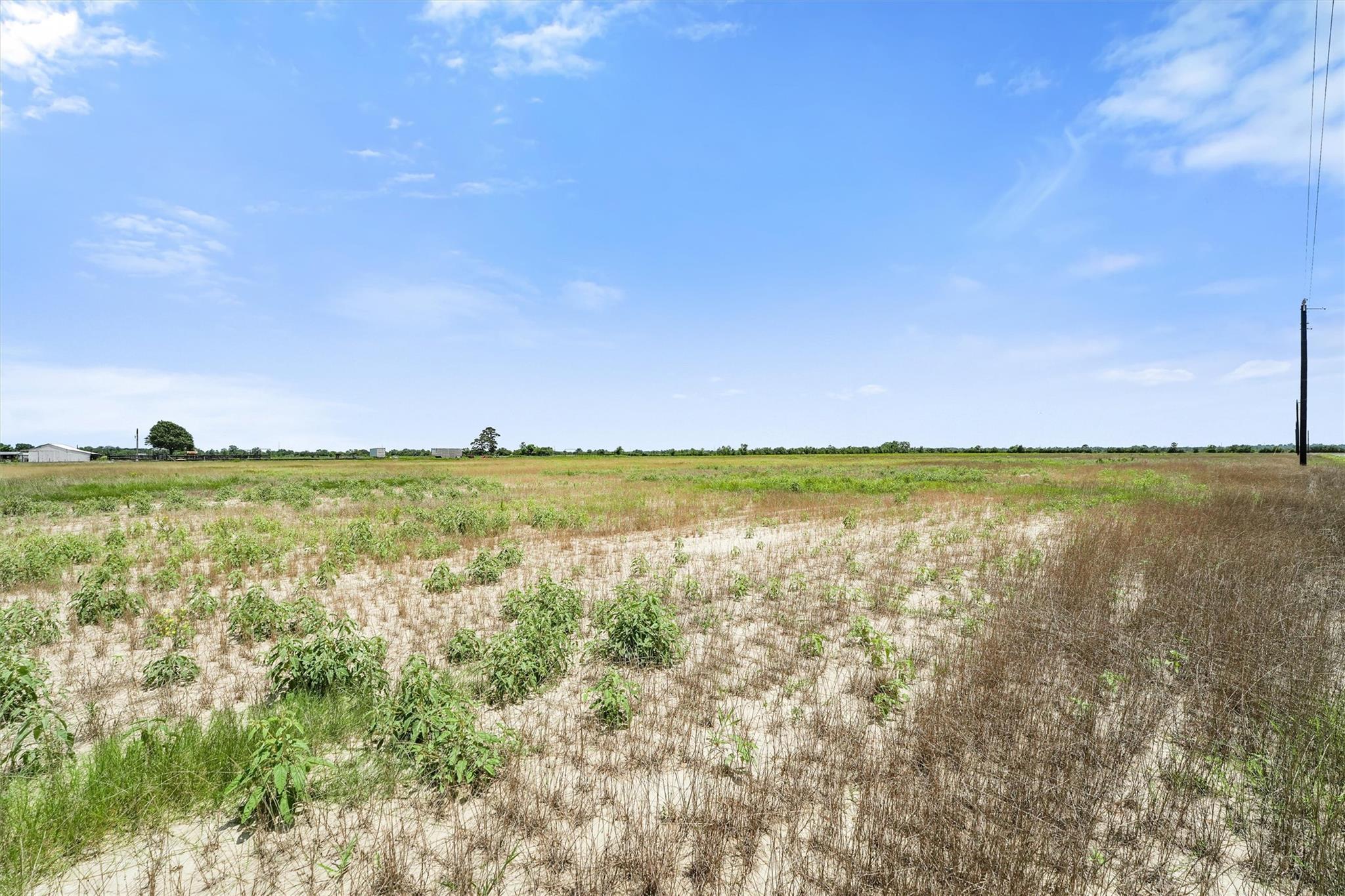 1319 Saddleback Dr Property Photo 1