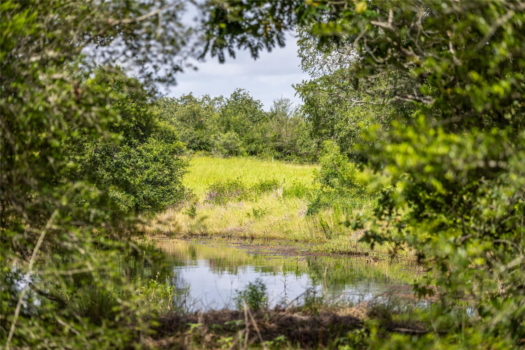 1272 Private Road 7024 None Property Photo 4