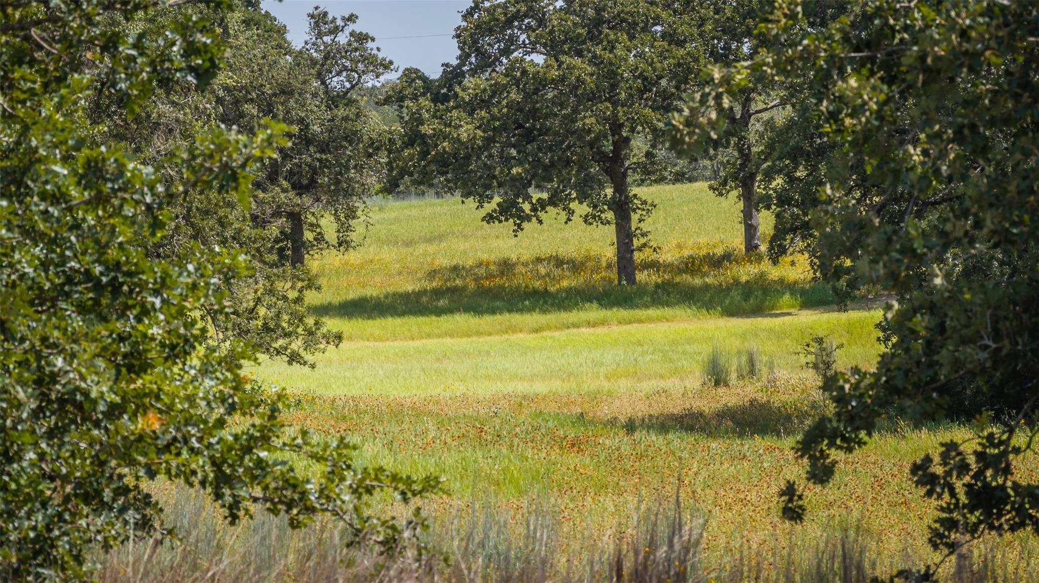 1272 Private Road 7024 None Property Photo 5