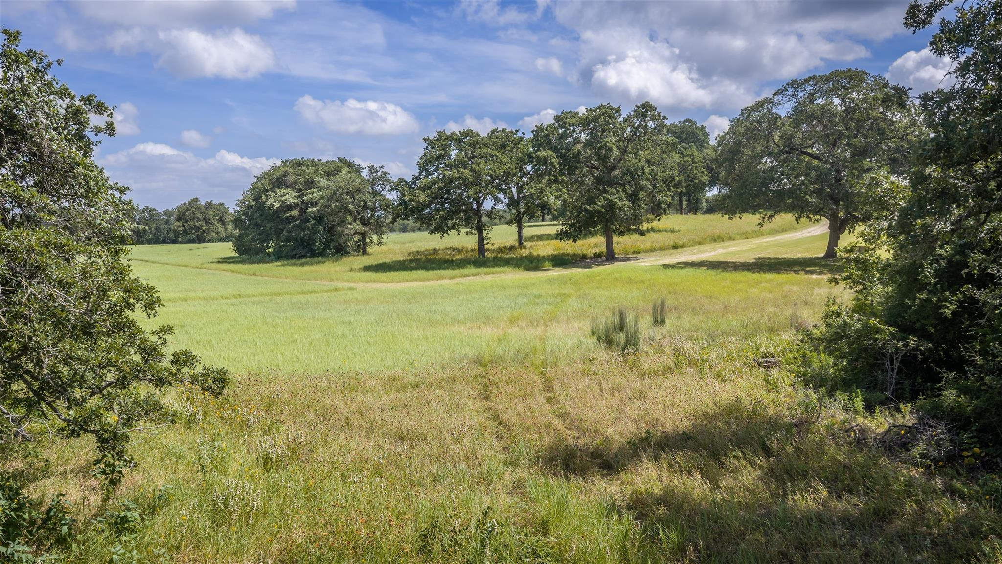 1272 Private Road 7024 None Property Photo 6