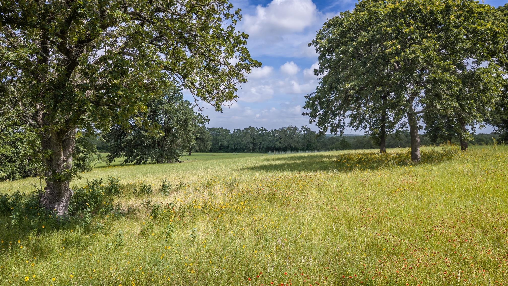 1272 Private Road 7024 None Property Photo 11