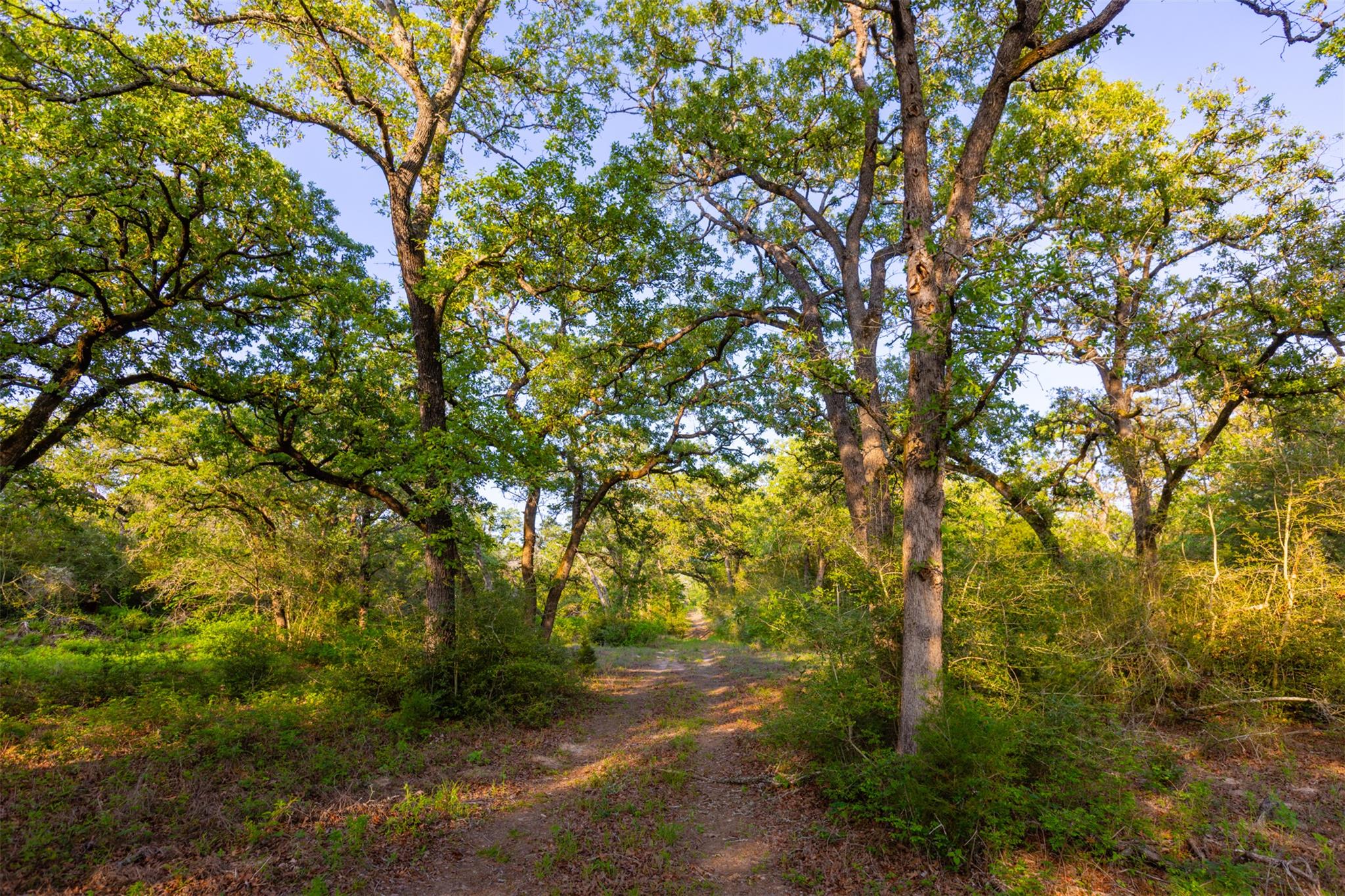 Tbd S Hwy 77 None Property Photo 4