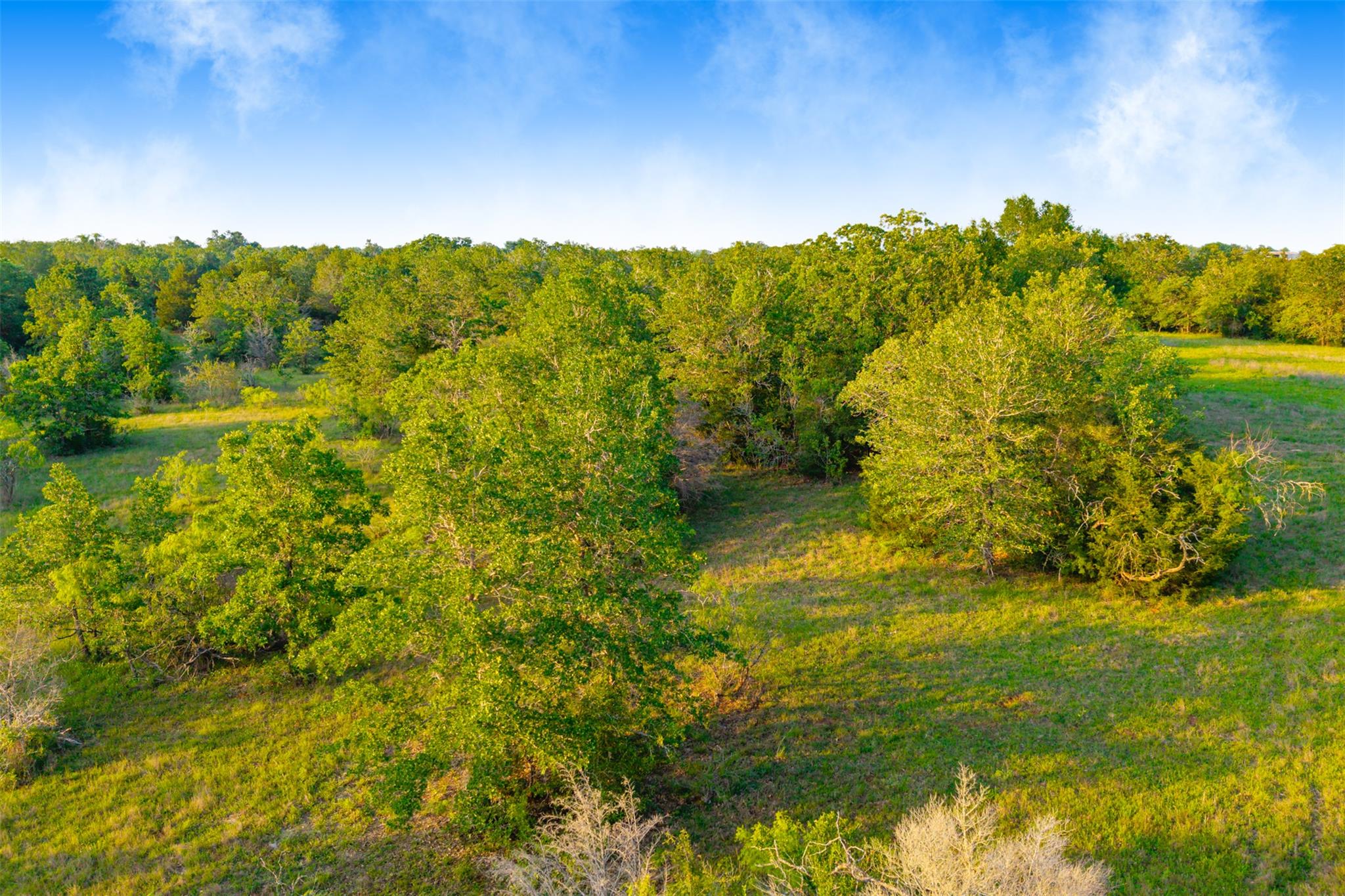 Tbd S Hwy 77 None Property Photo 6
