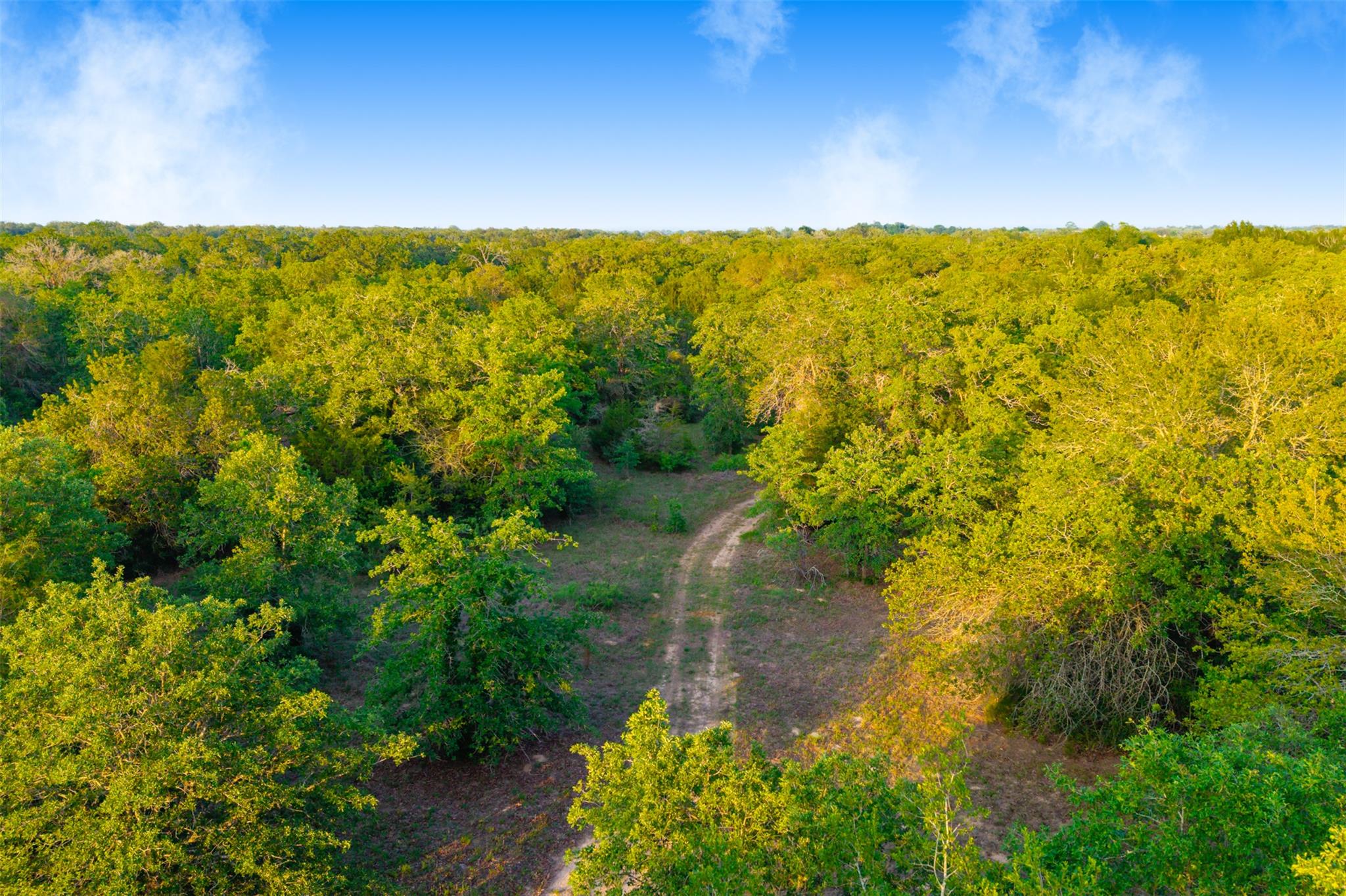 Tbd S Hwy 77 None Property Photo 37