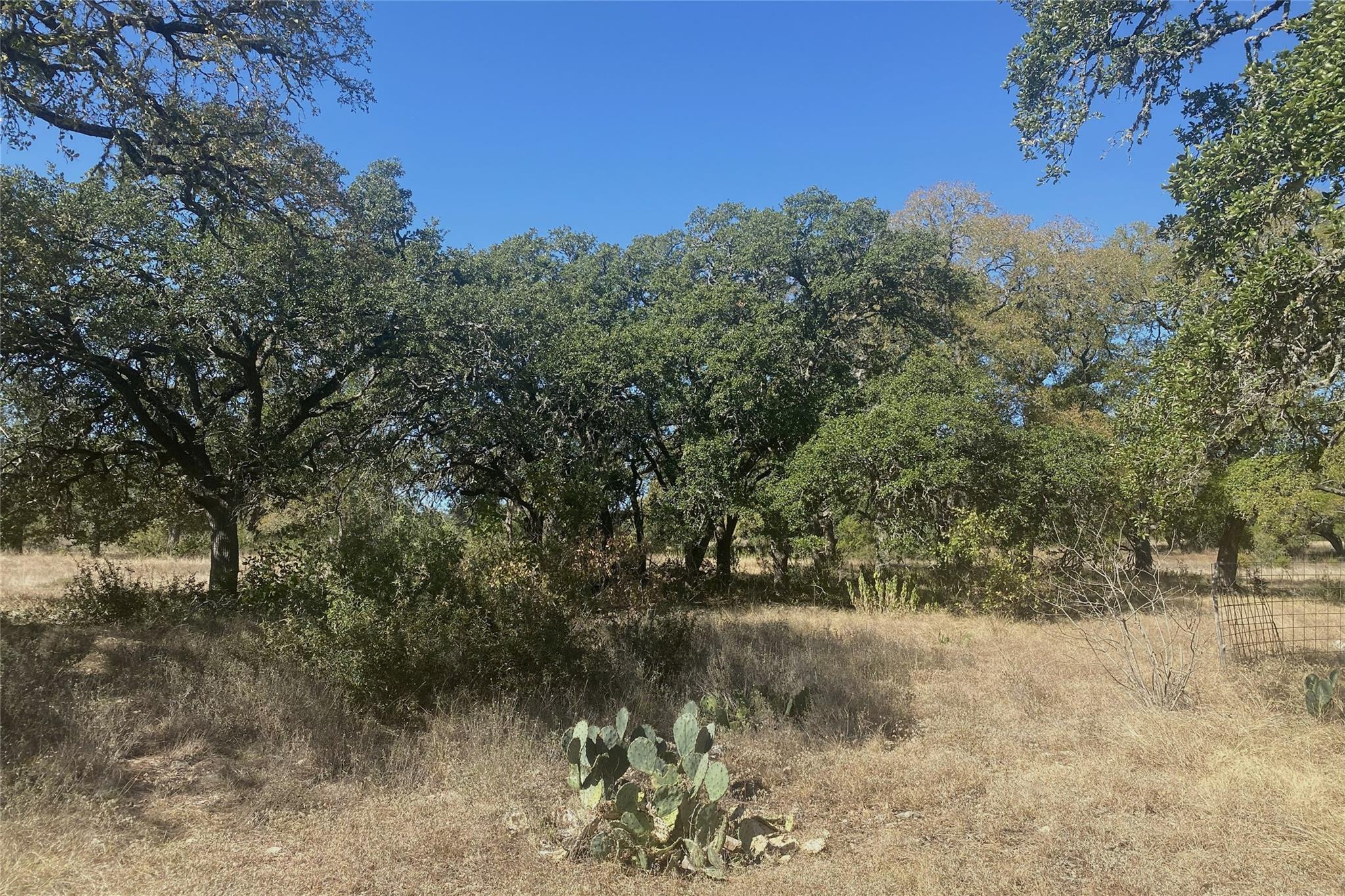 0 Spoke Hollow Rd Property Photo 3