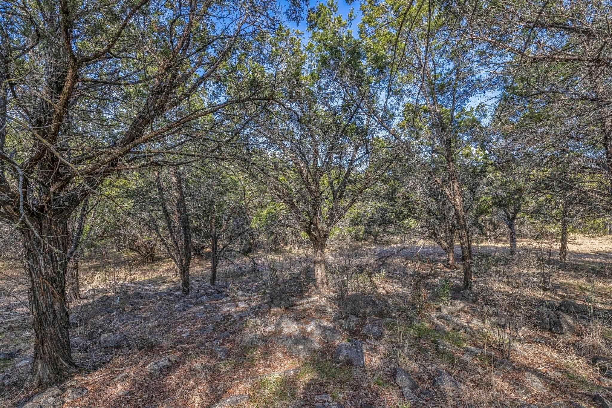 Lt 22261 Long Shot None Property Photo 4