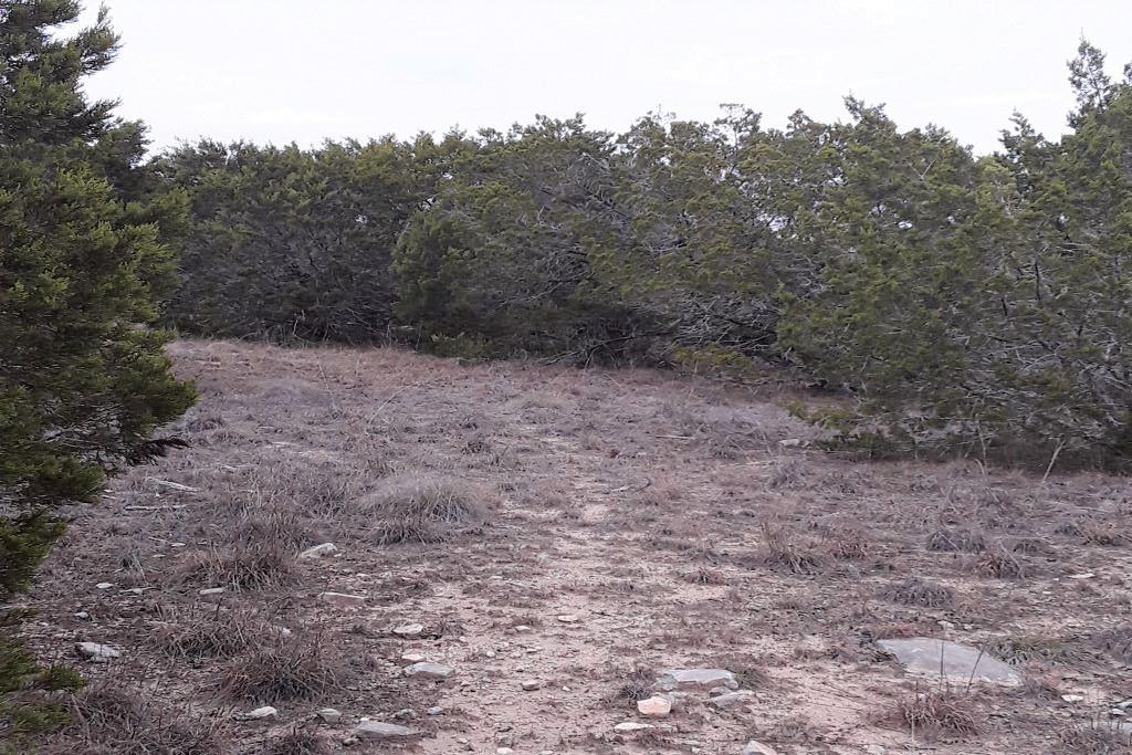 Lot-116 Oak Crest Dr Property Photo 3
