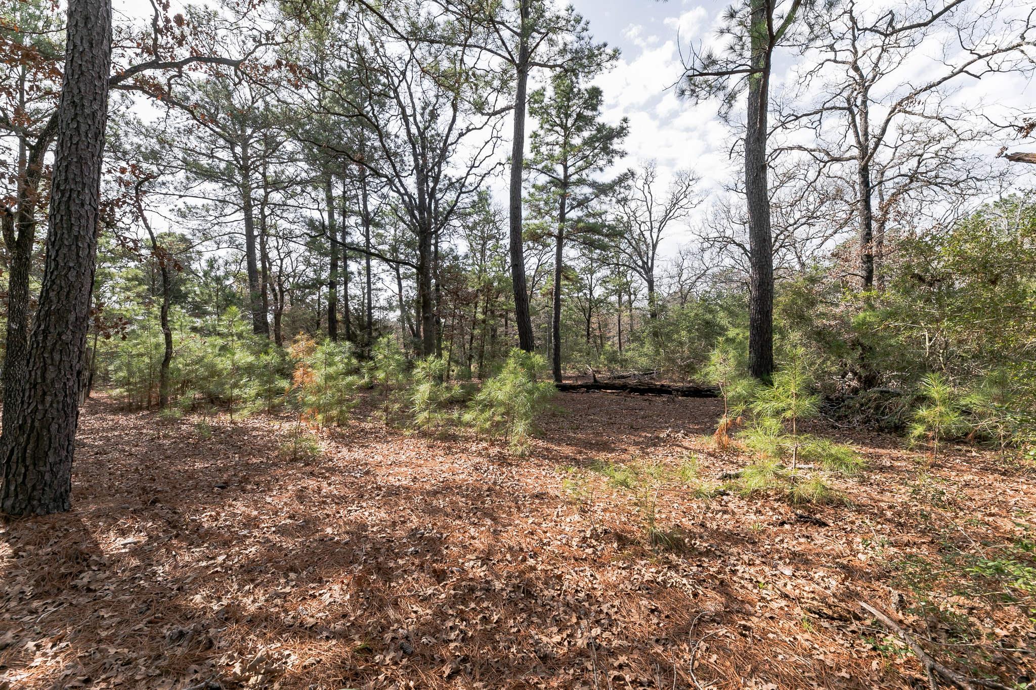 492 S Old Potato Rd Property Photo 2