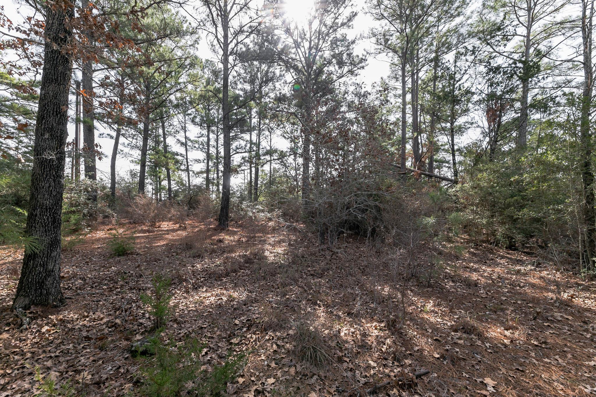 492 S Old Potato Rd Property Photo 25