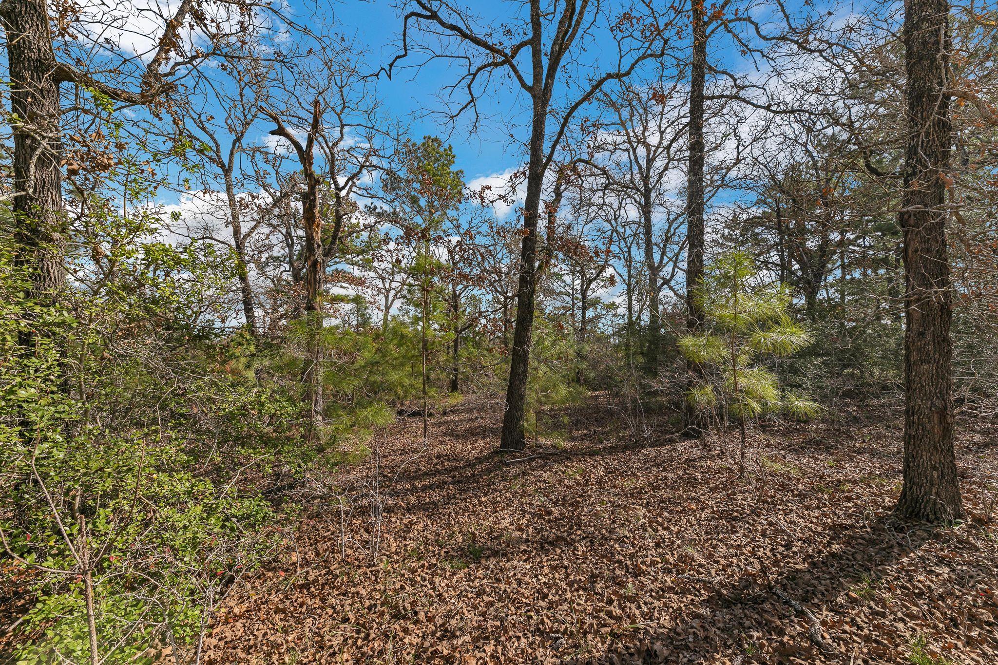 492 S Old Potato Rd Property Photo 28