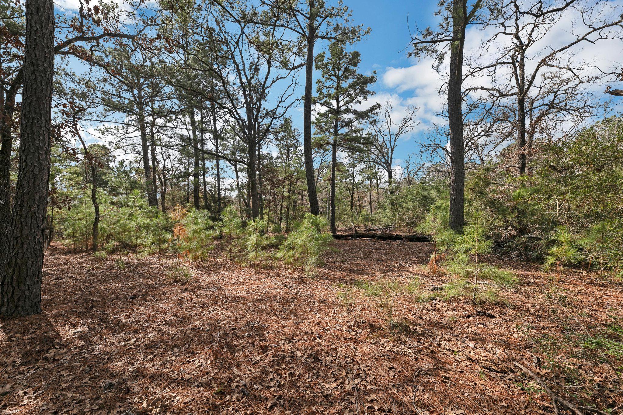 492 S Old Potato Rd Property Photo 30