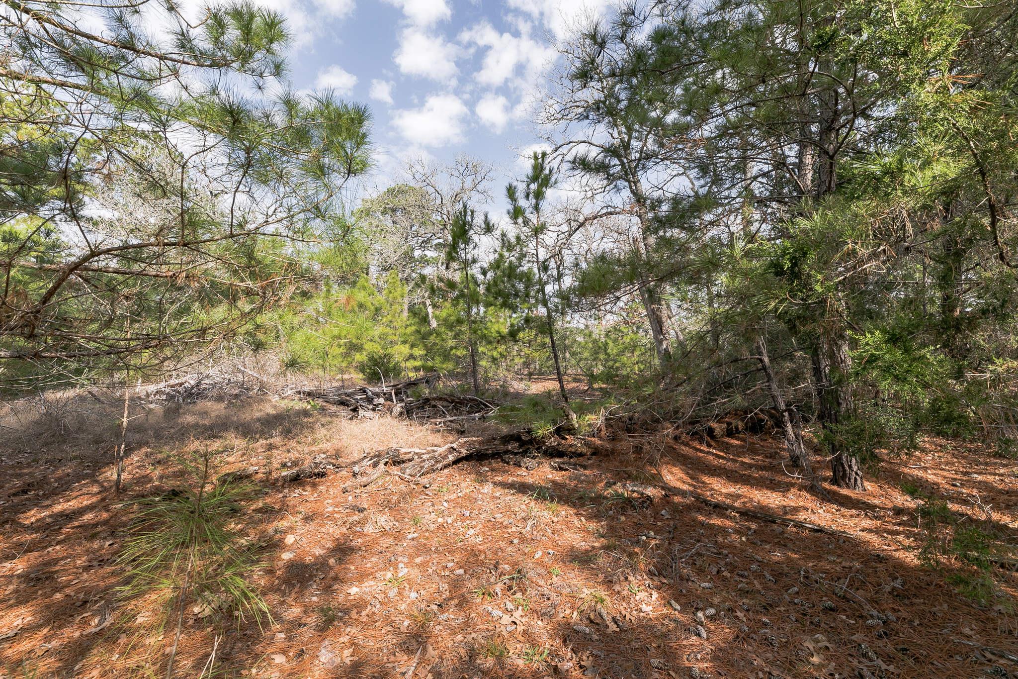492 S Old Potato Rd Property Photo 34