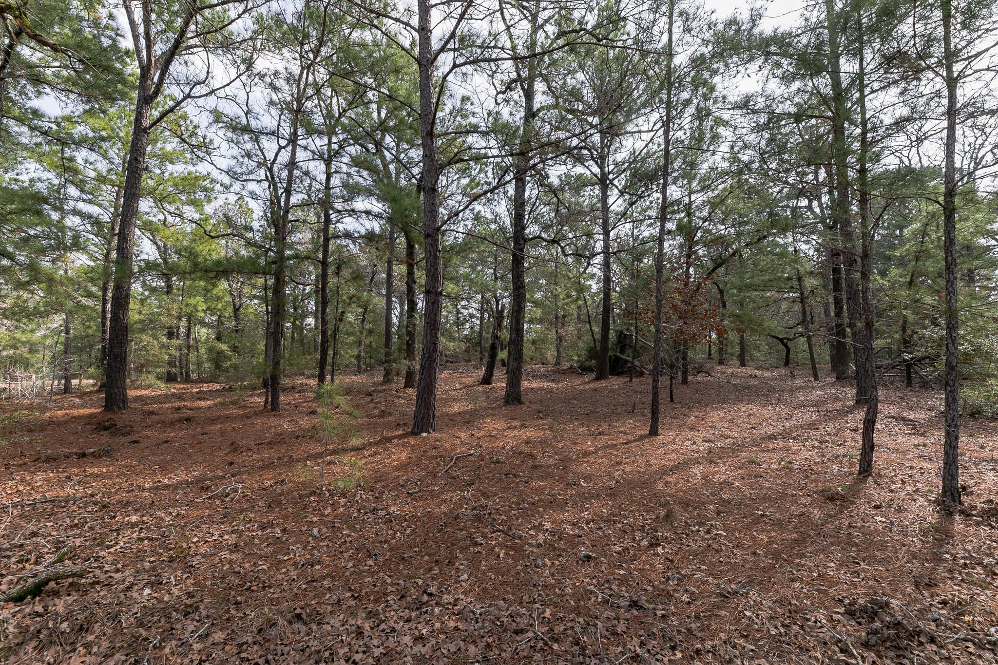 492 S Old Potato Rd Property Photo 36