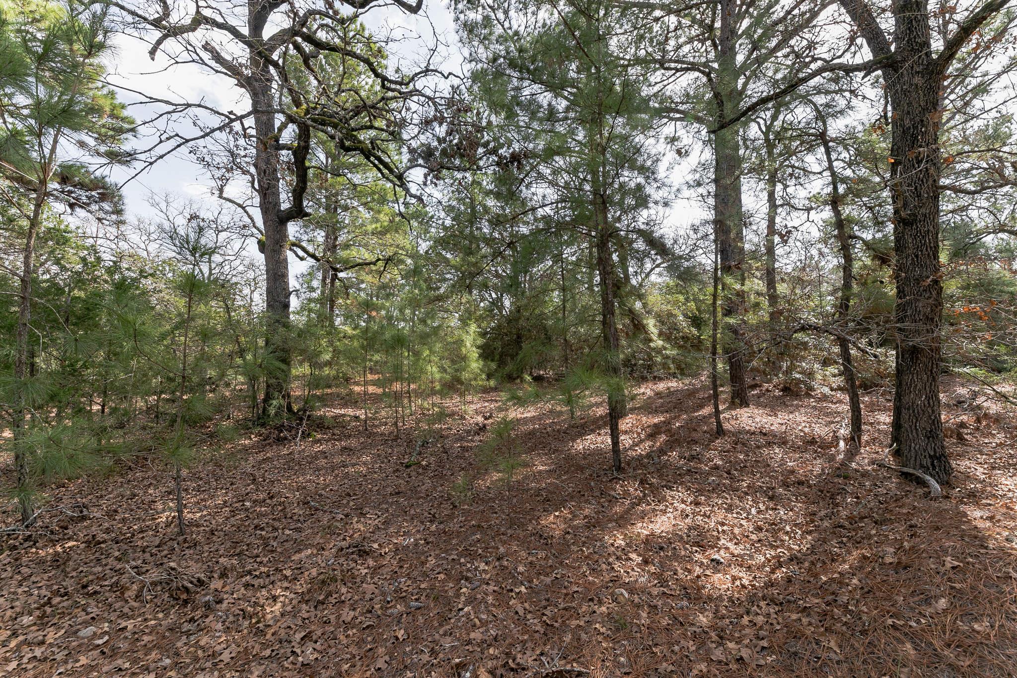 492 S Old Potato Rd Property Photo 37