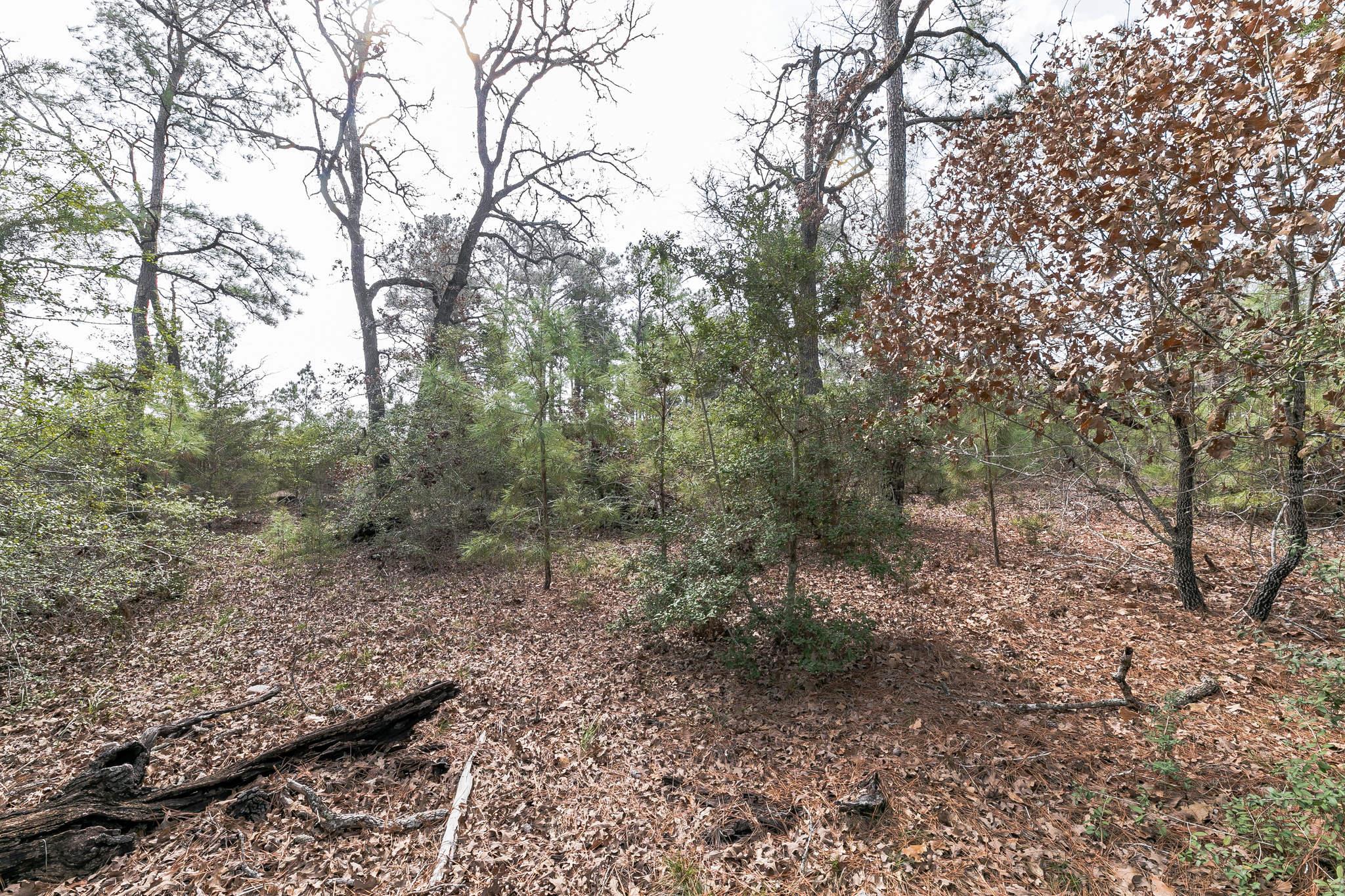 492 S Old Potato Rd Property Photo 39