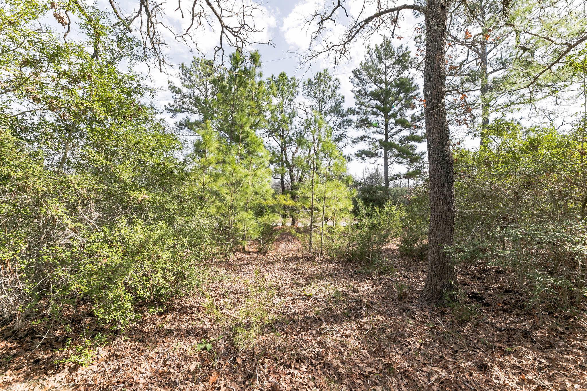 492 S Old Potato Rd Property Photo 40