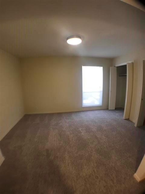 2800 Cole St C105 Property Photo 13